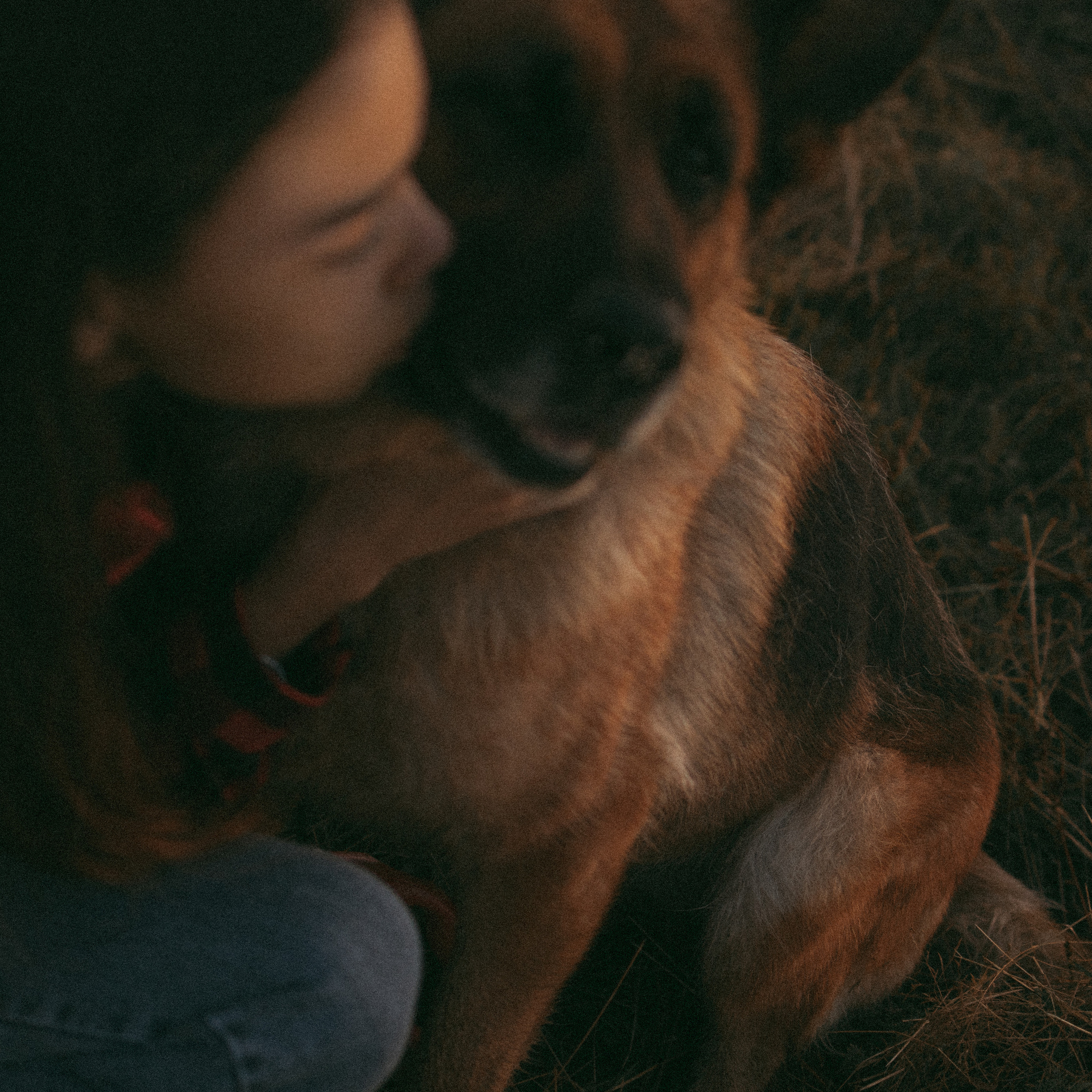 Девочки и рассвет