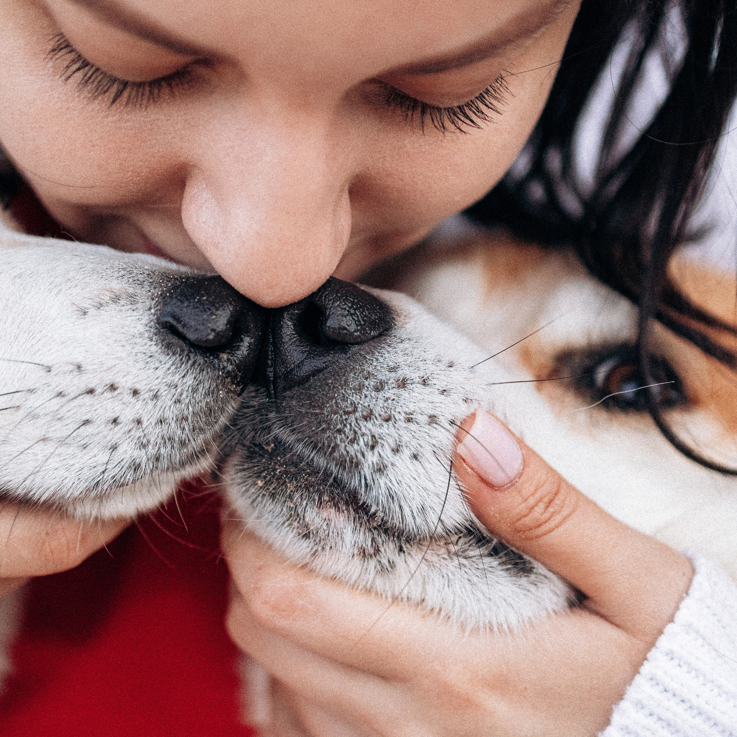 Отзывы. Фотораф — анималист Мария Шистка