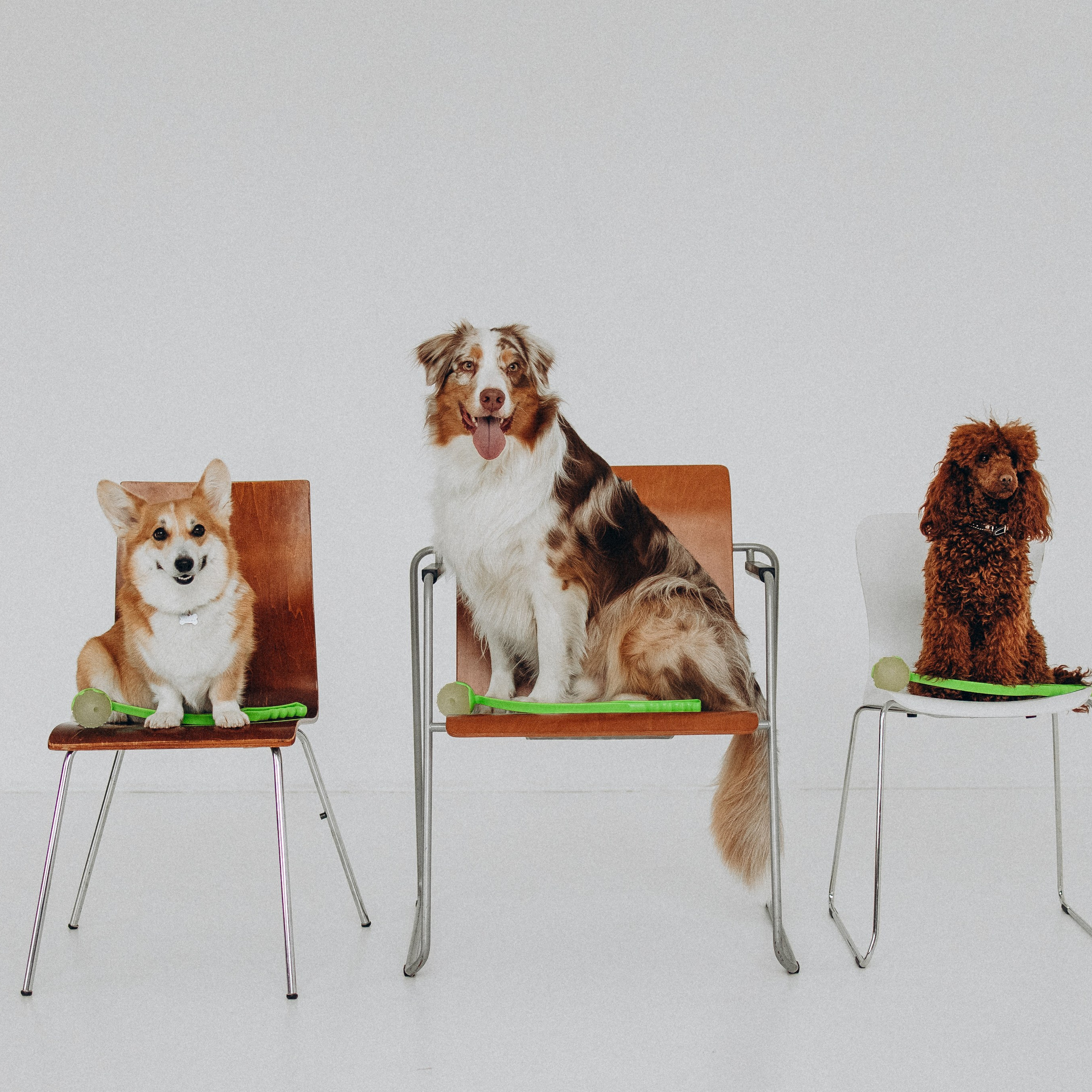 Катапульты