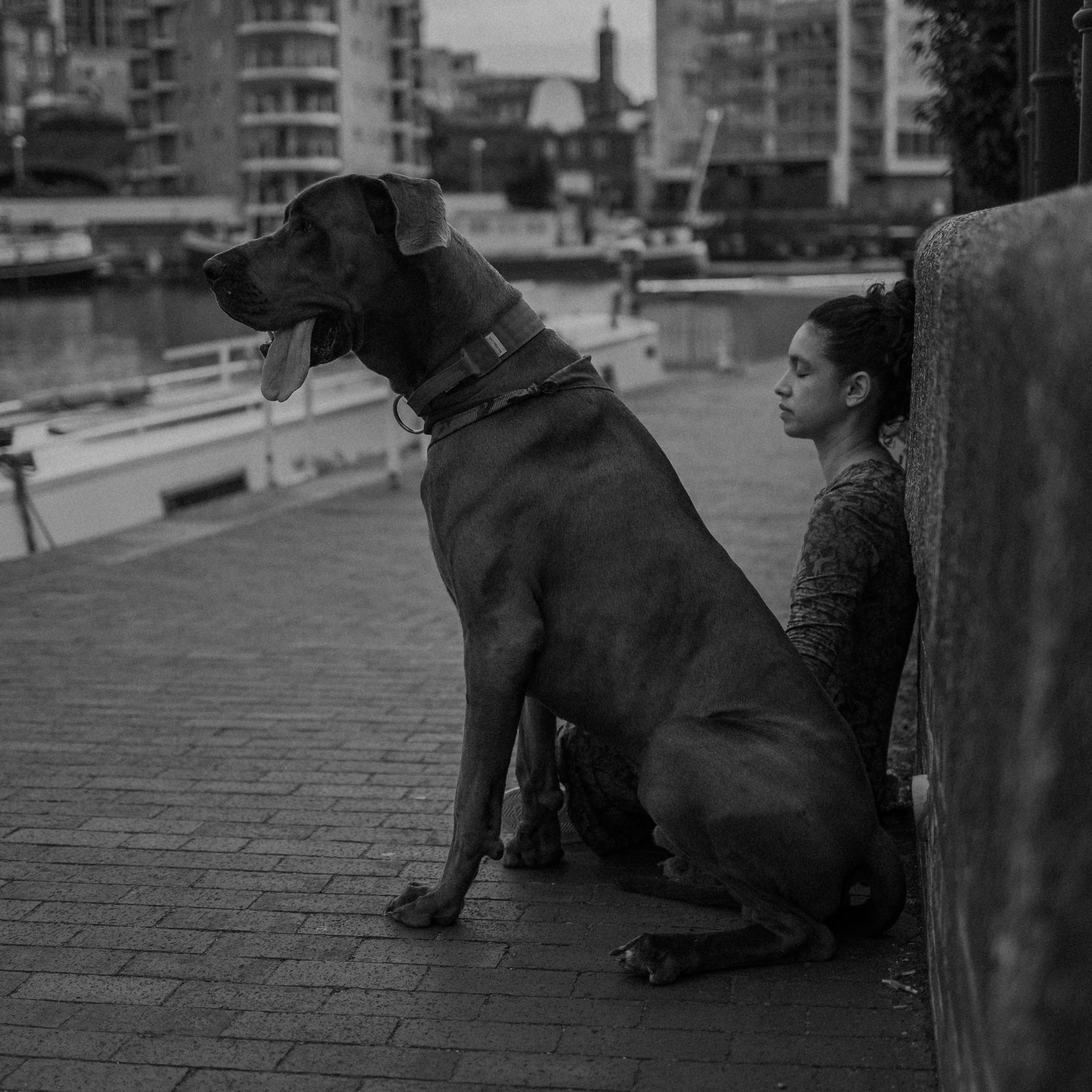 Луиза и Нельсон