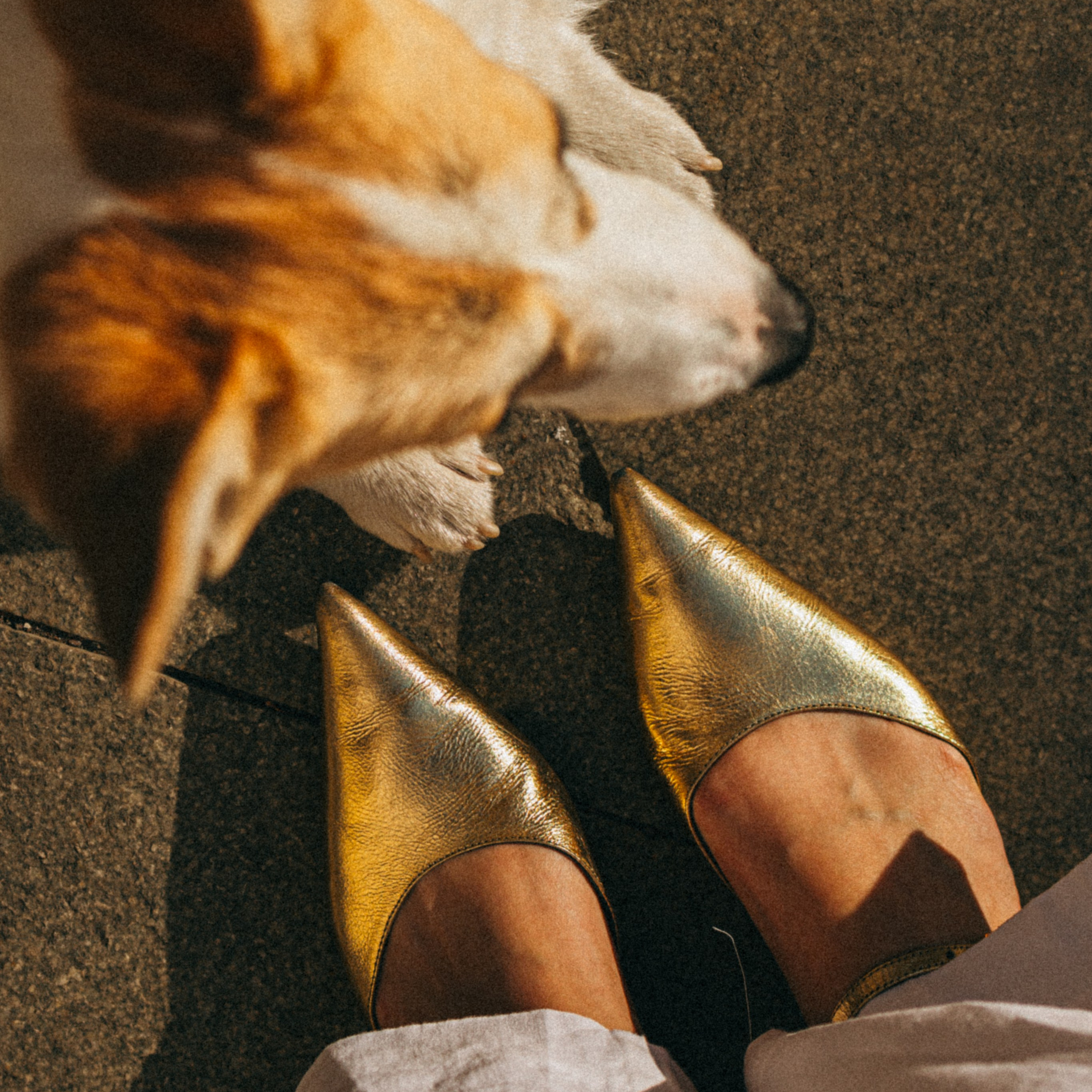 Даша, Рома и Лесли