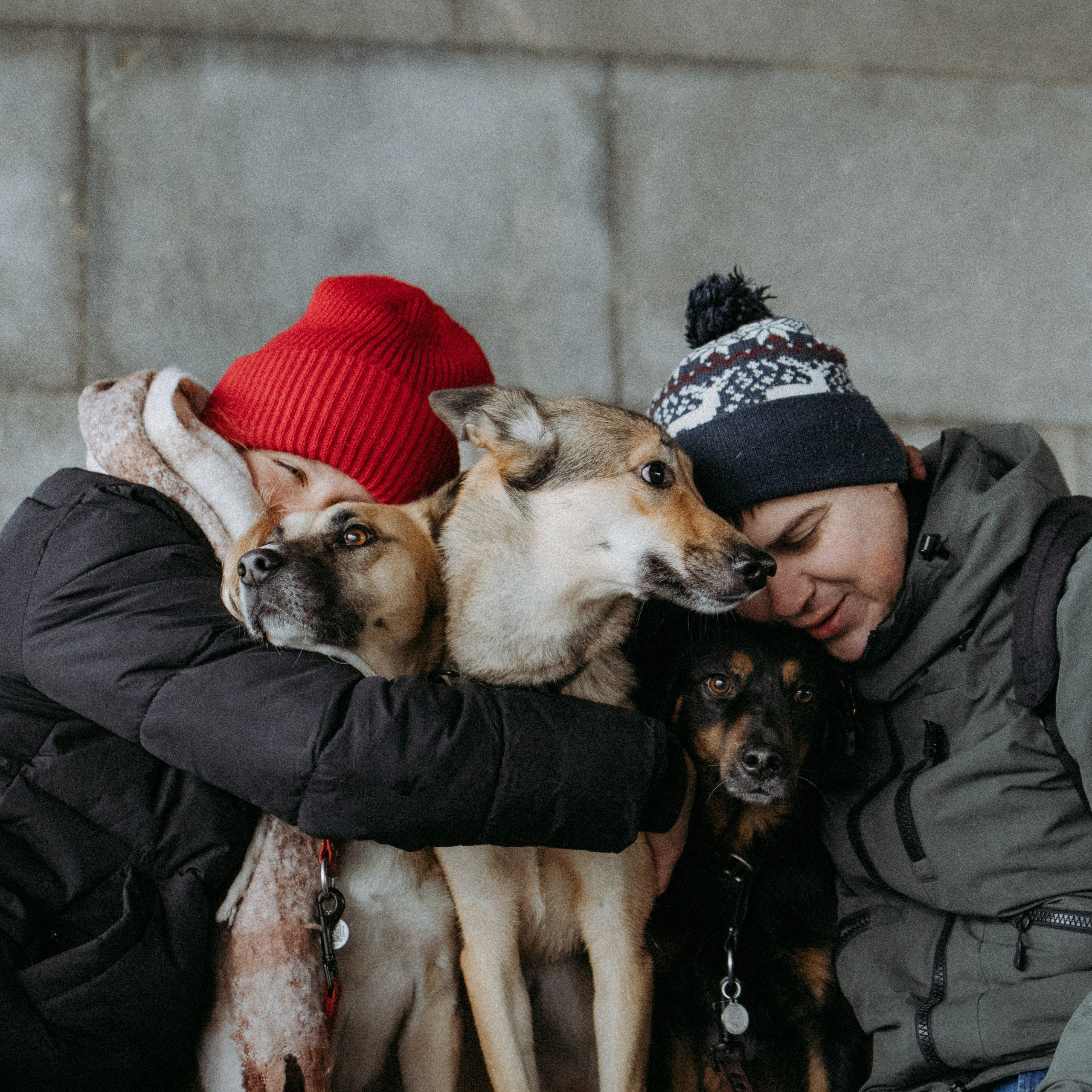 Отзывы. Фотораф — анималист Мария Шистка