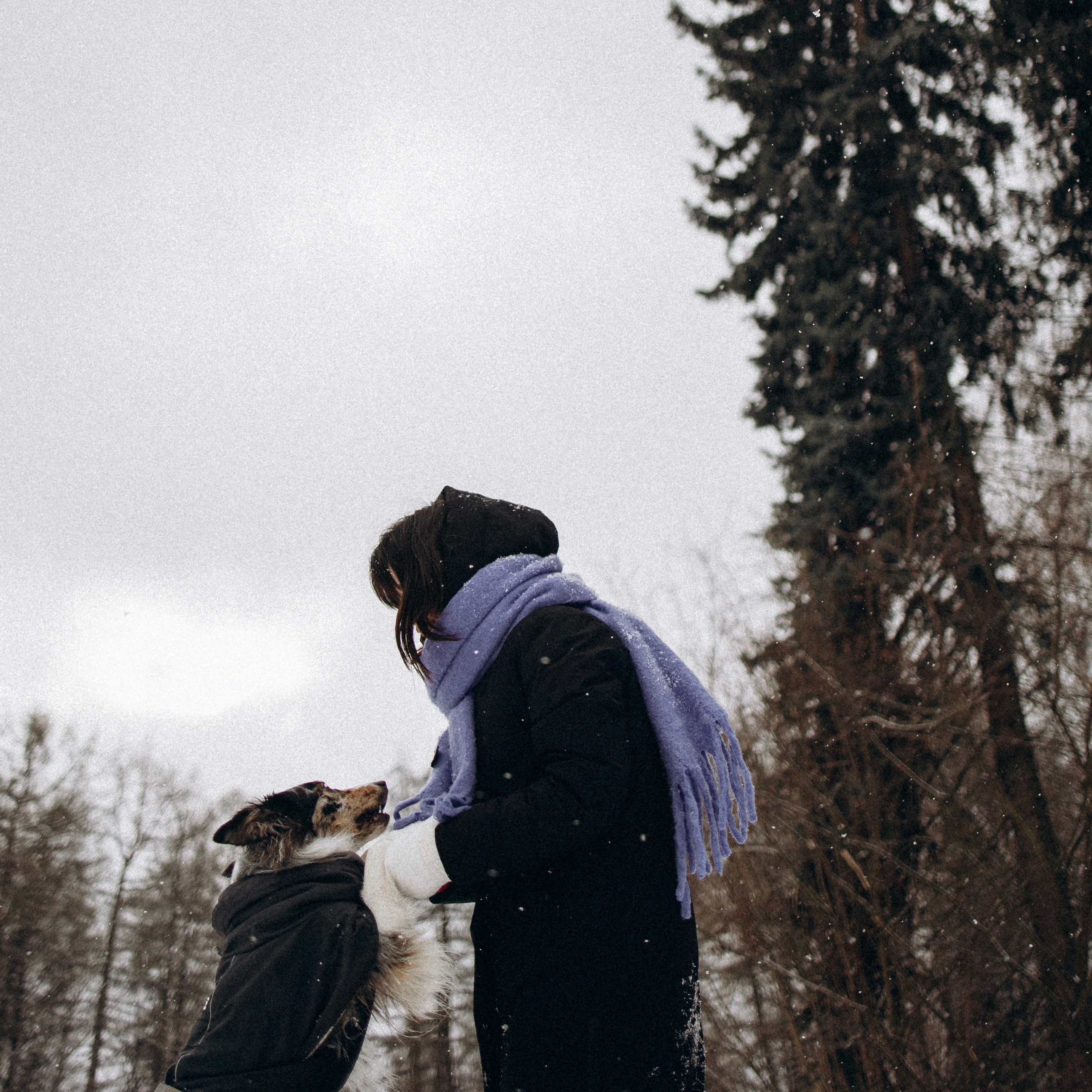 Настя и Тор