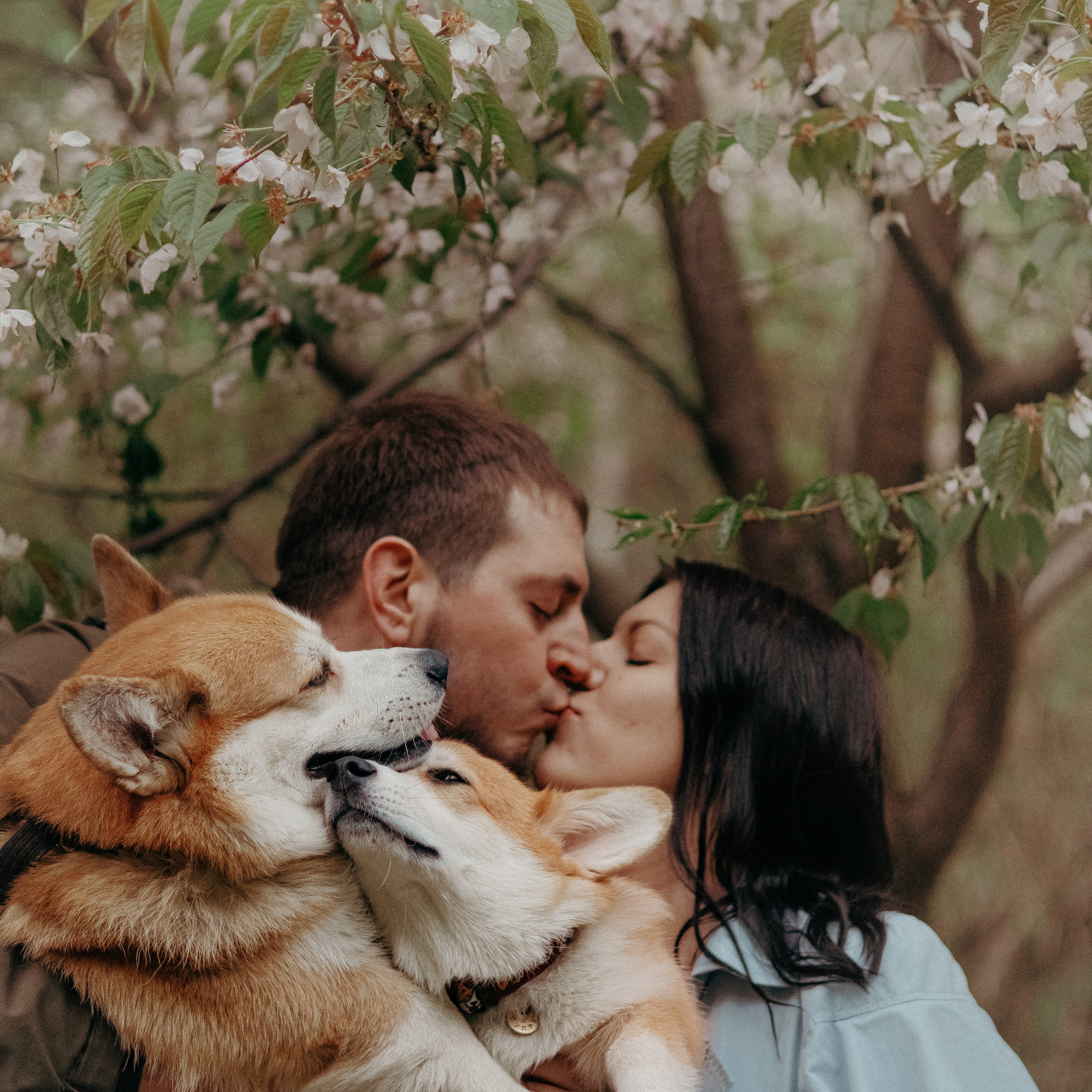 Отзывы. Фотораф — анималист Мария Шистка