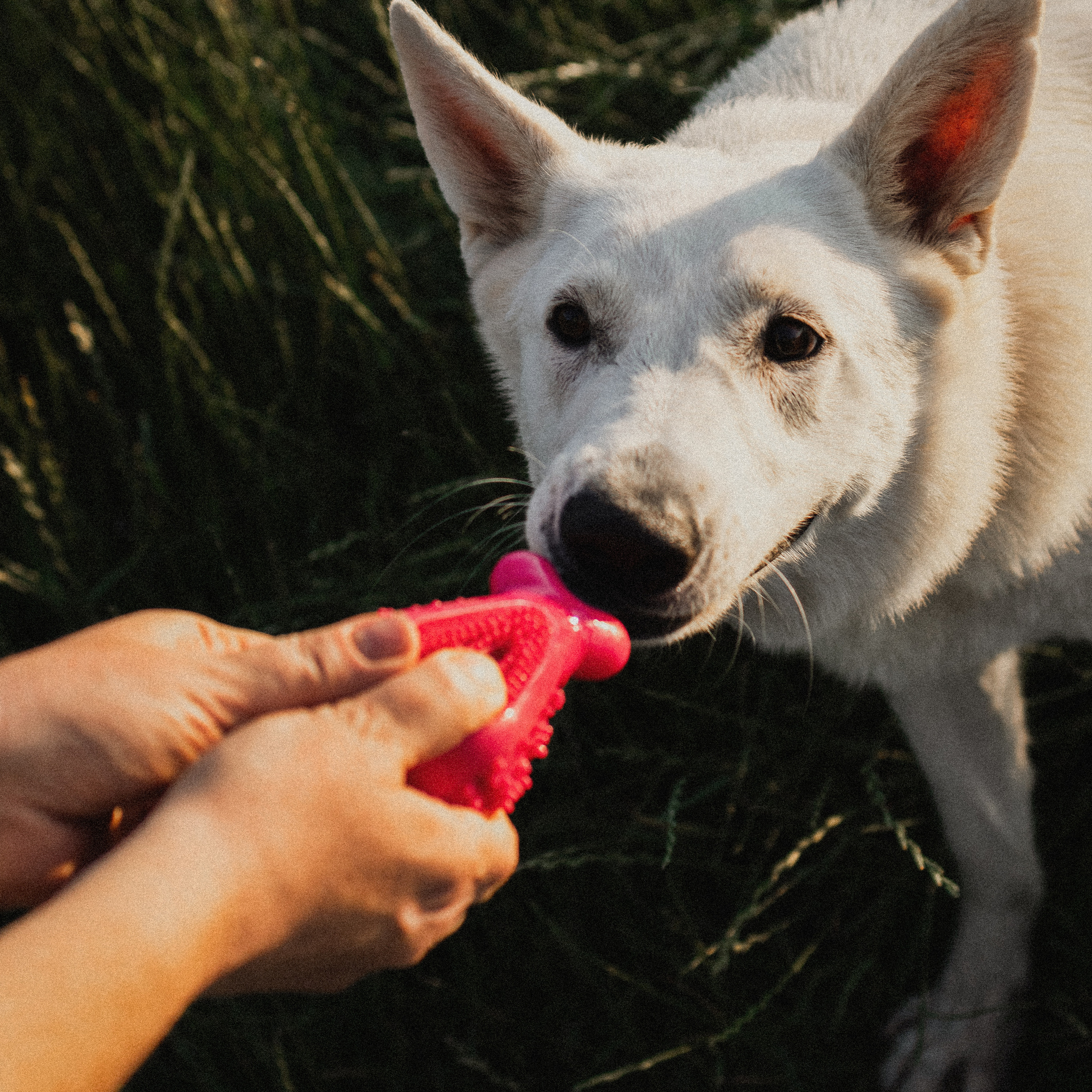 Любовь и Латте