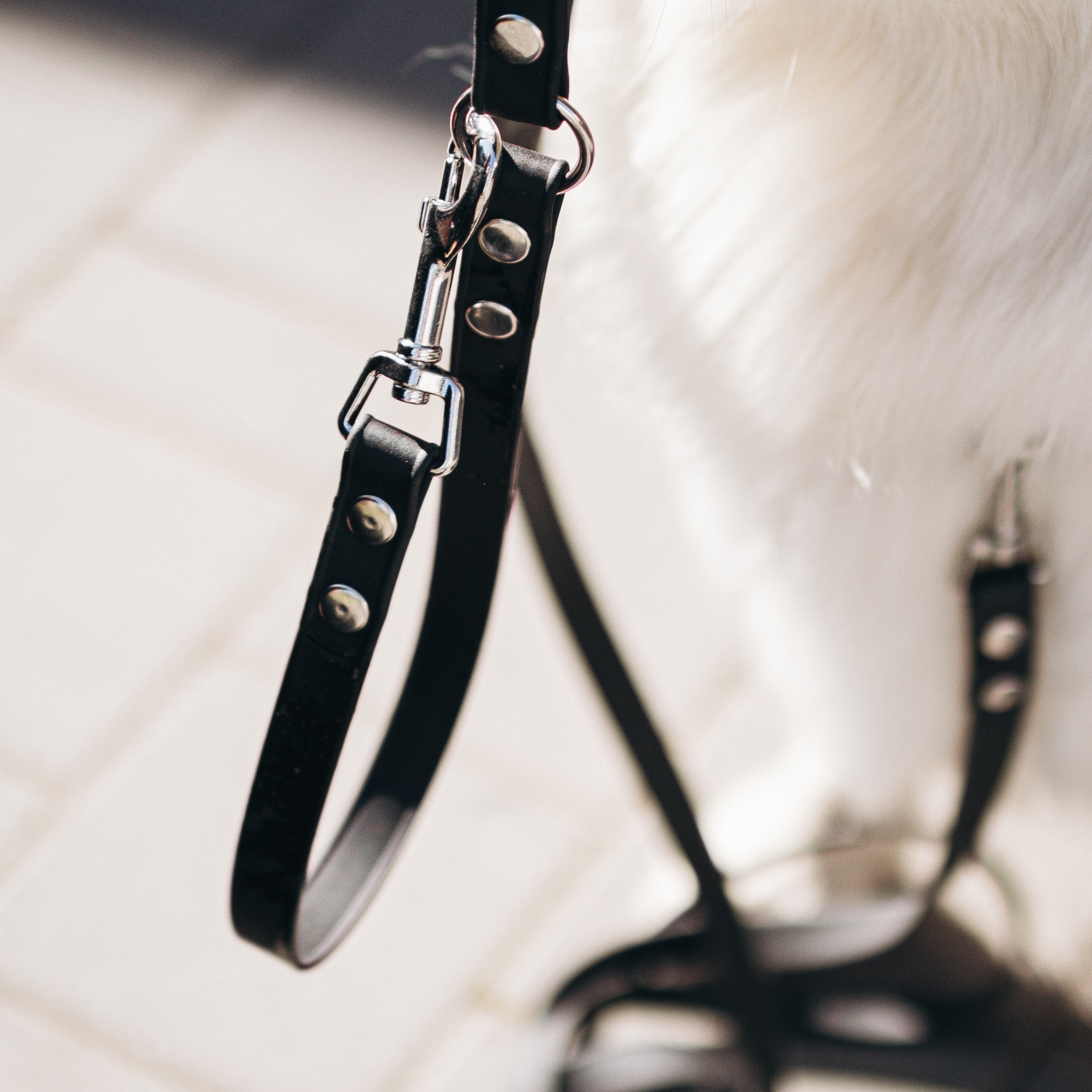 Амуниция «Бобик»