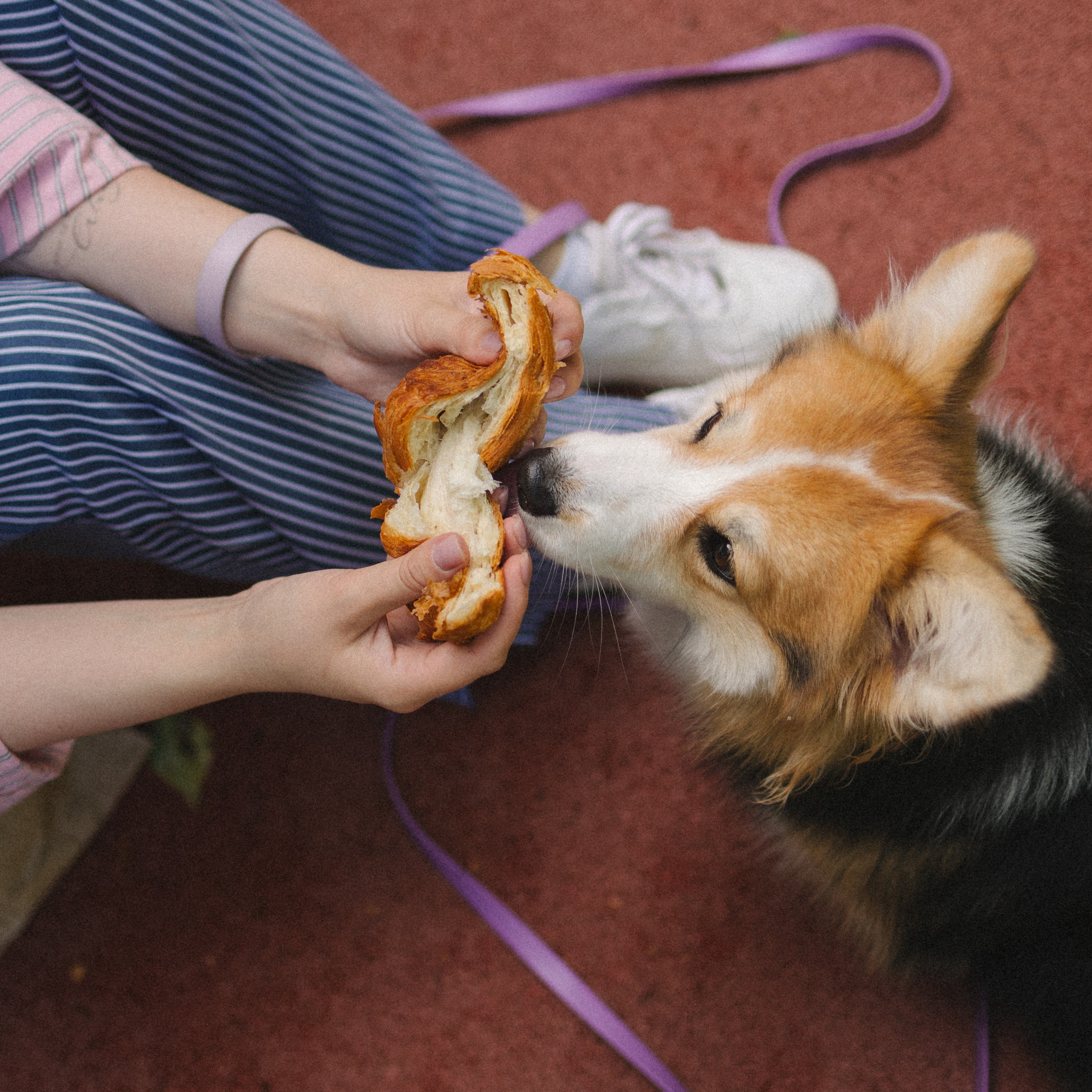 Мишель и Влада