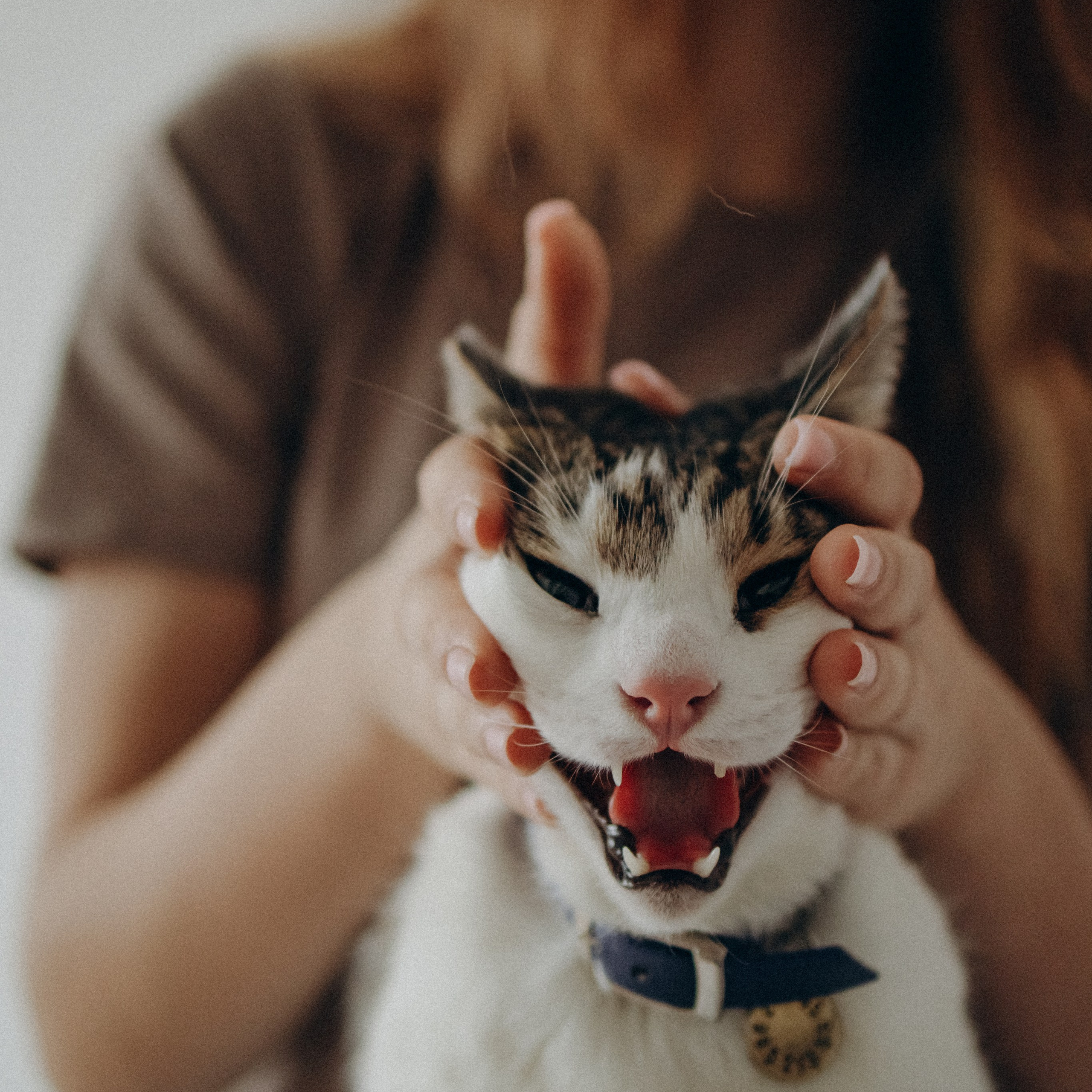 Ксюша и Яша