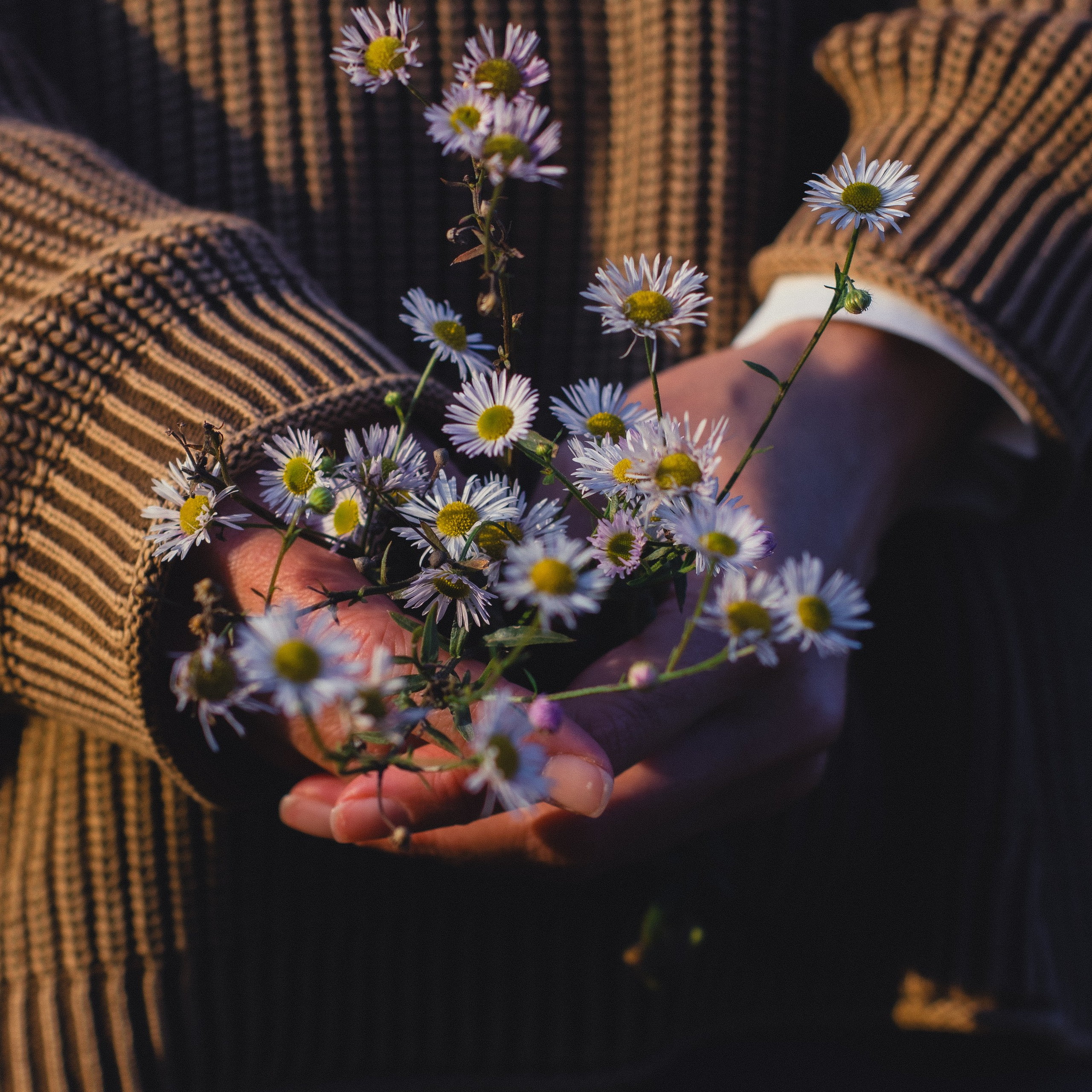 Индивидуальная съемка