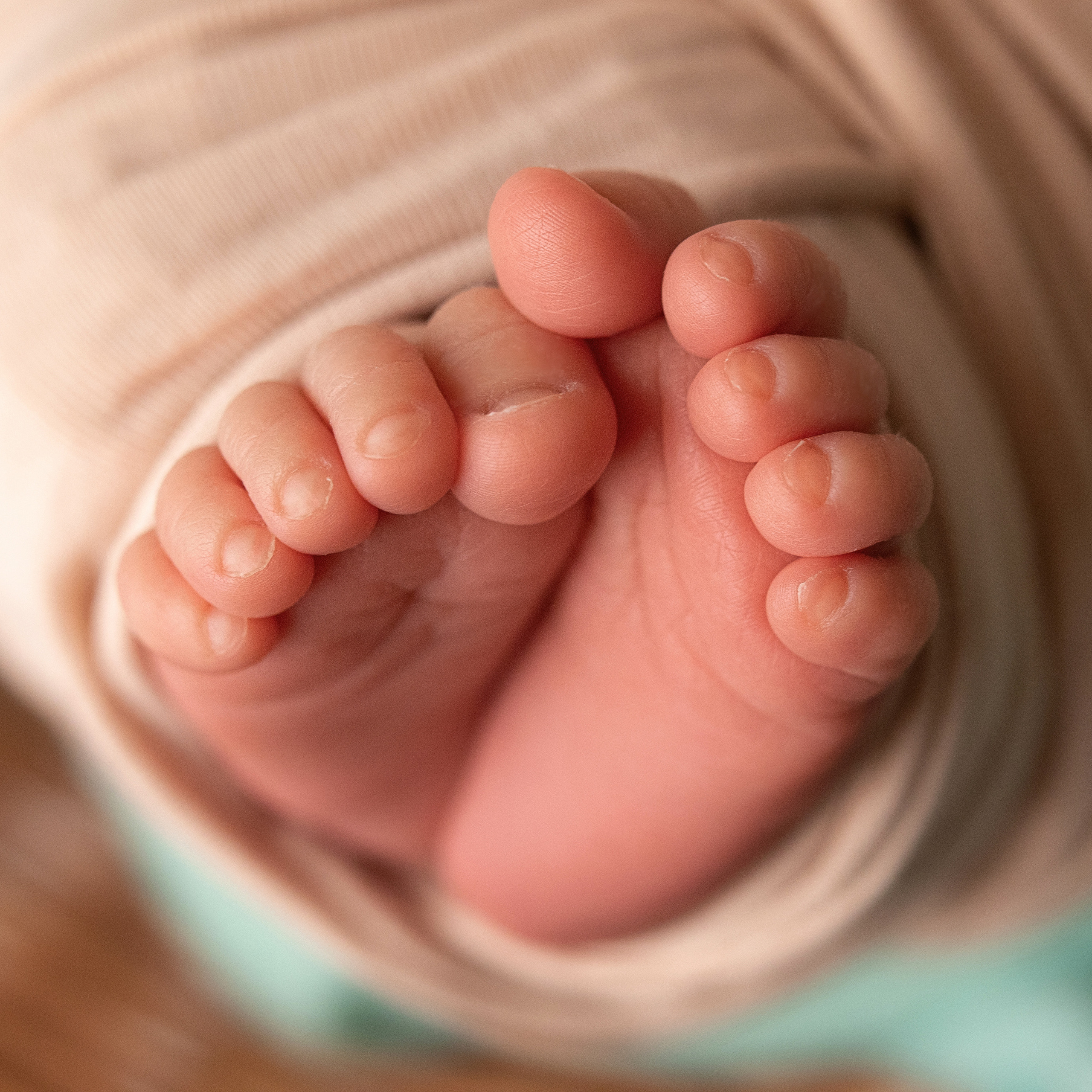 макроснимки пальчиков