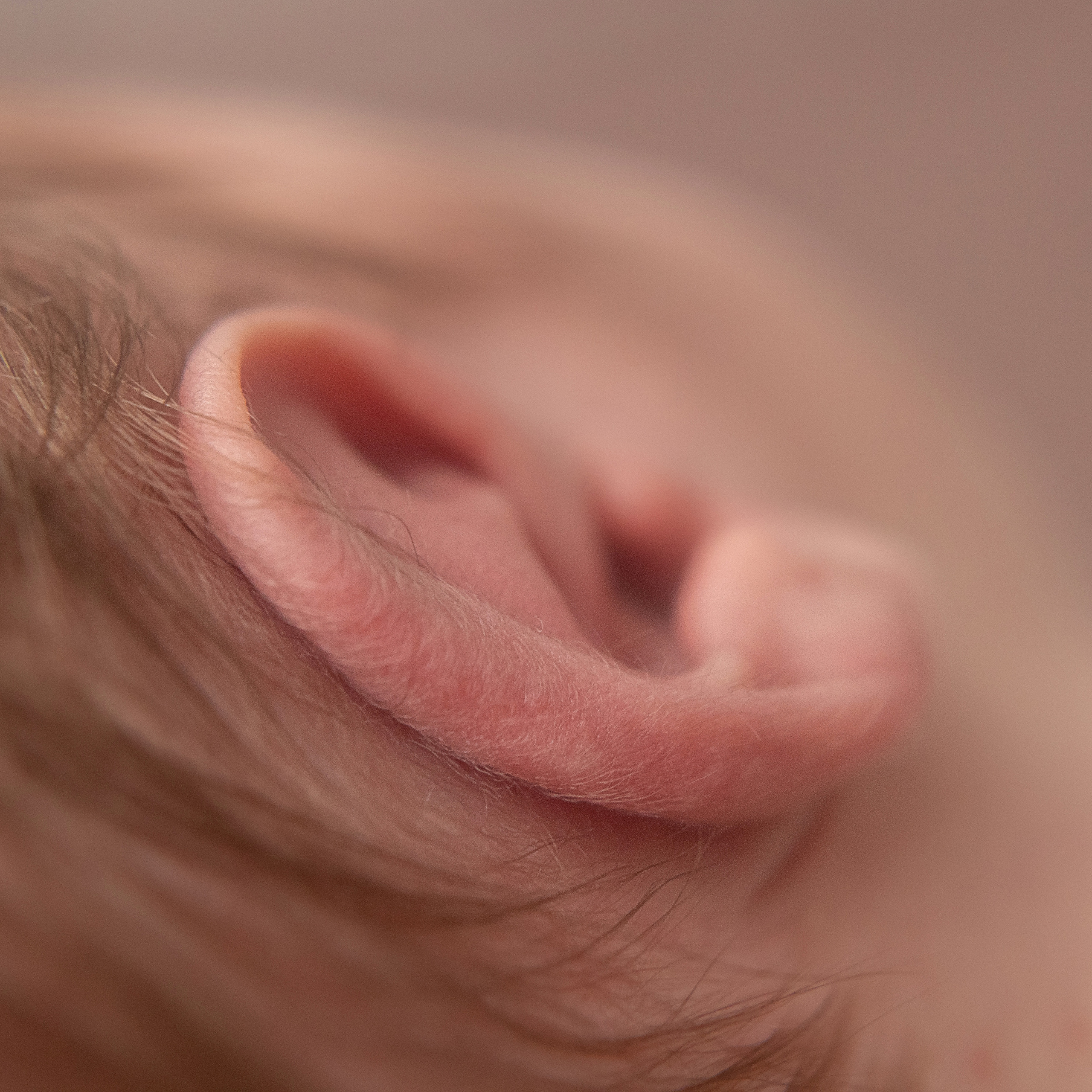 Классическая ньюборн фотосессия. Фотограф новорождённых Братск