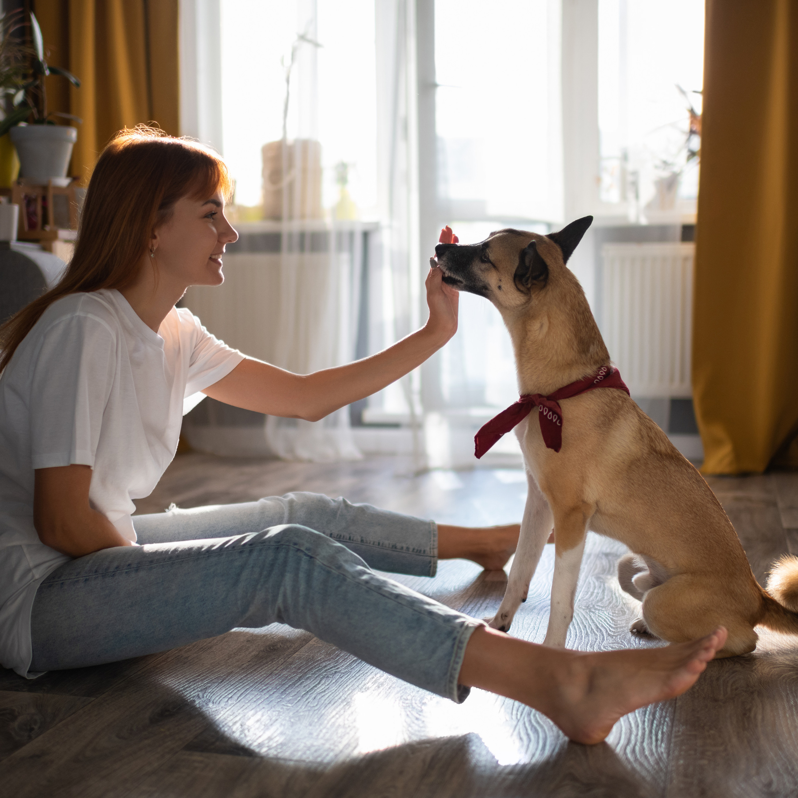 Photos. Director of Photography