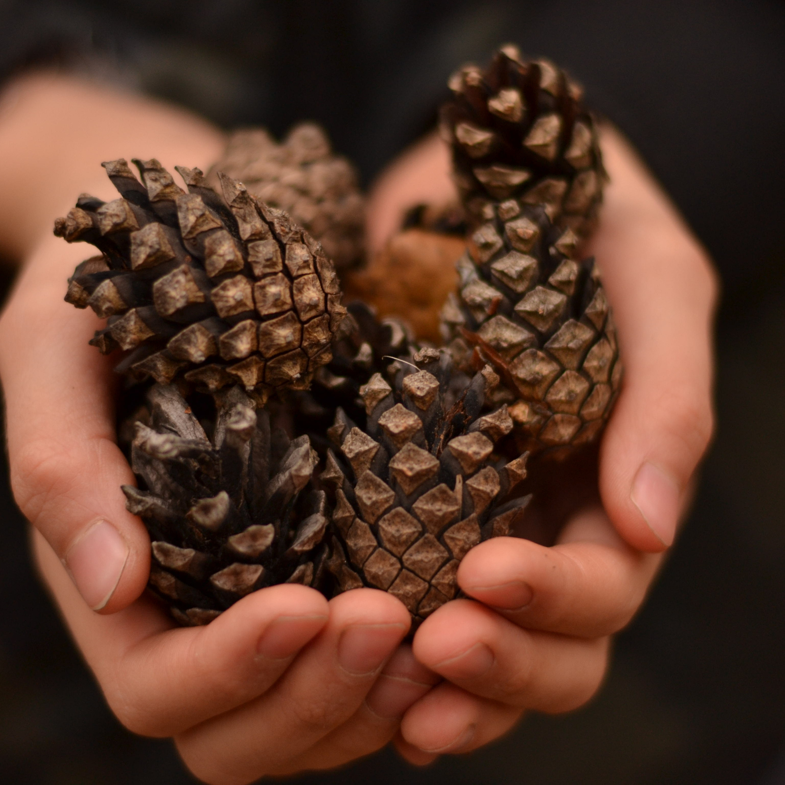 Краски ноября