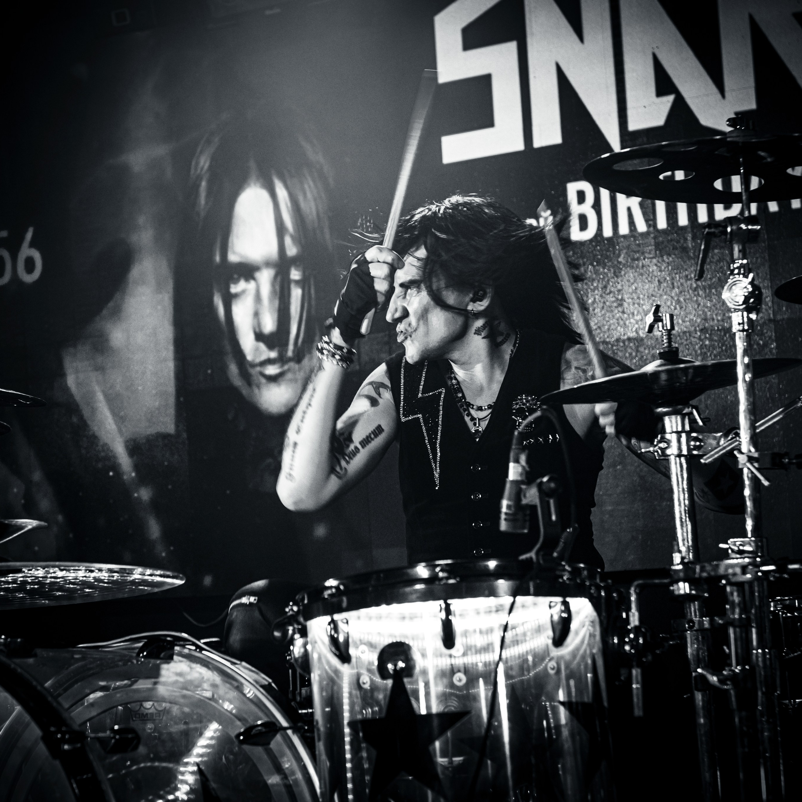 Snake 56 | MT Music Bar