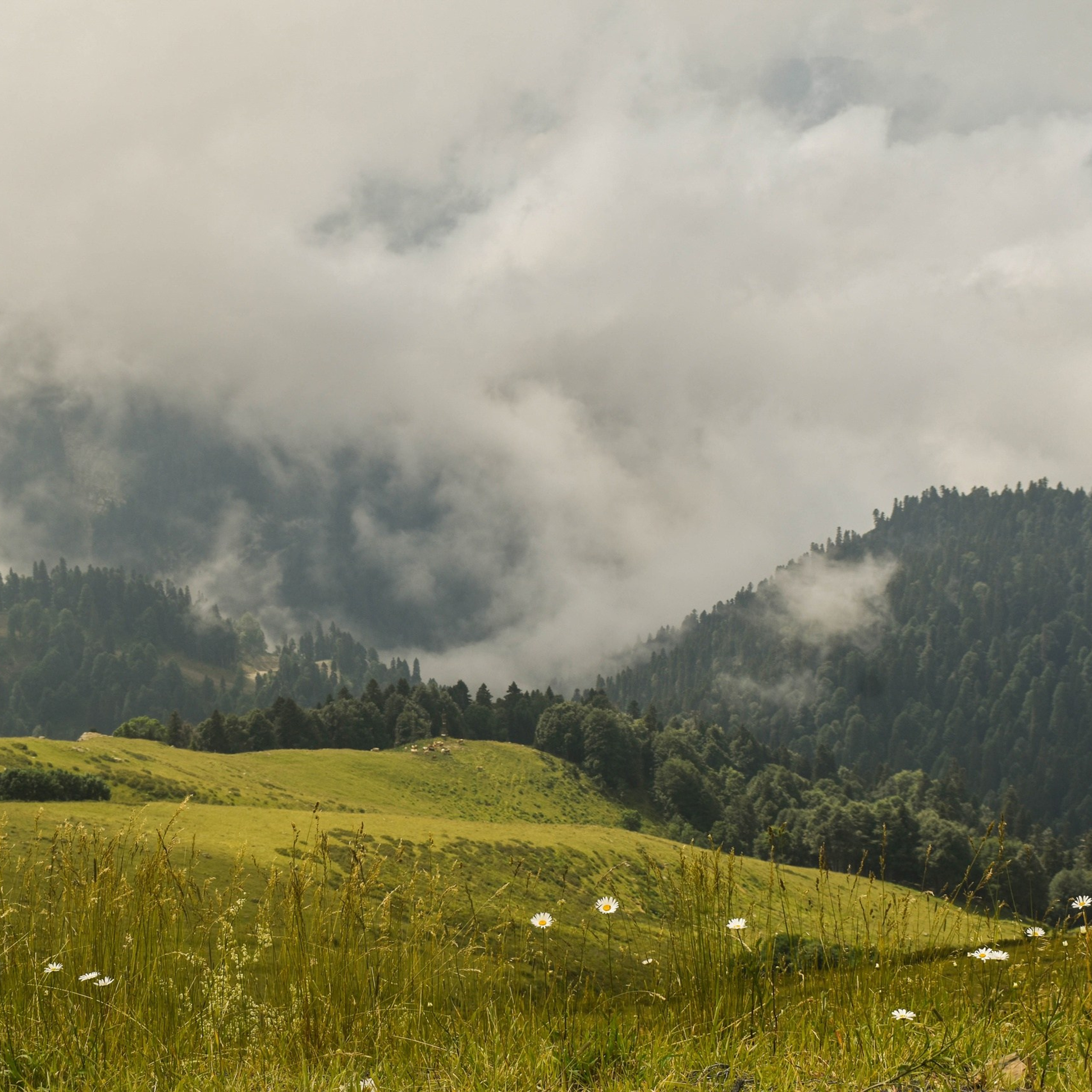 Отзывы о работе фотографа и преподавателя фотографии Николая Казакова. Николай Казаков. Профессиональный фотограф. Преподаватель фотографии
