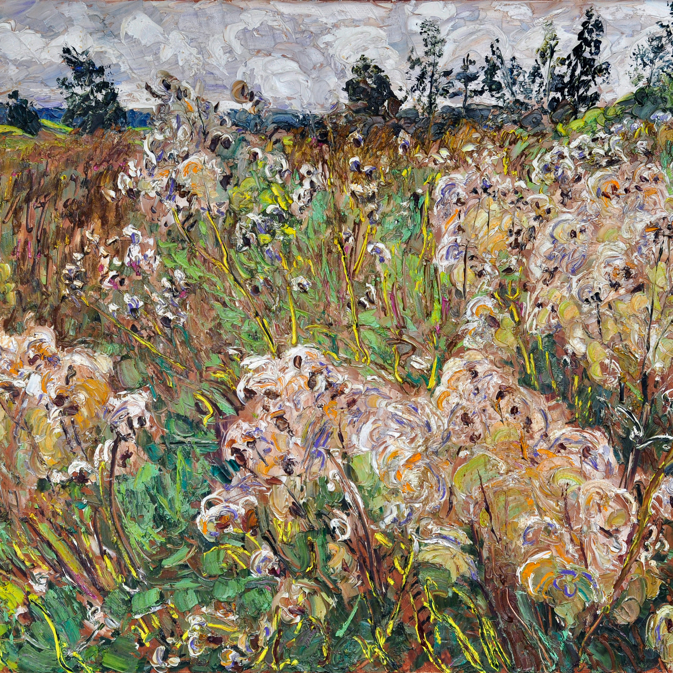 ЖИЗНЬ СОСЕН И ТРАВ