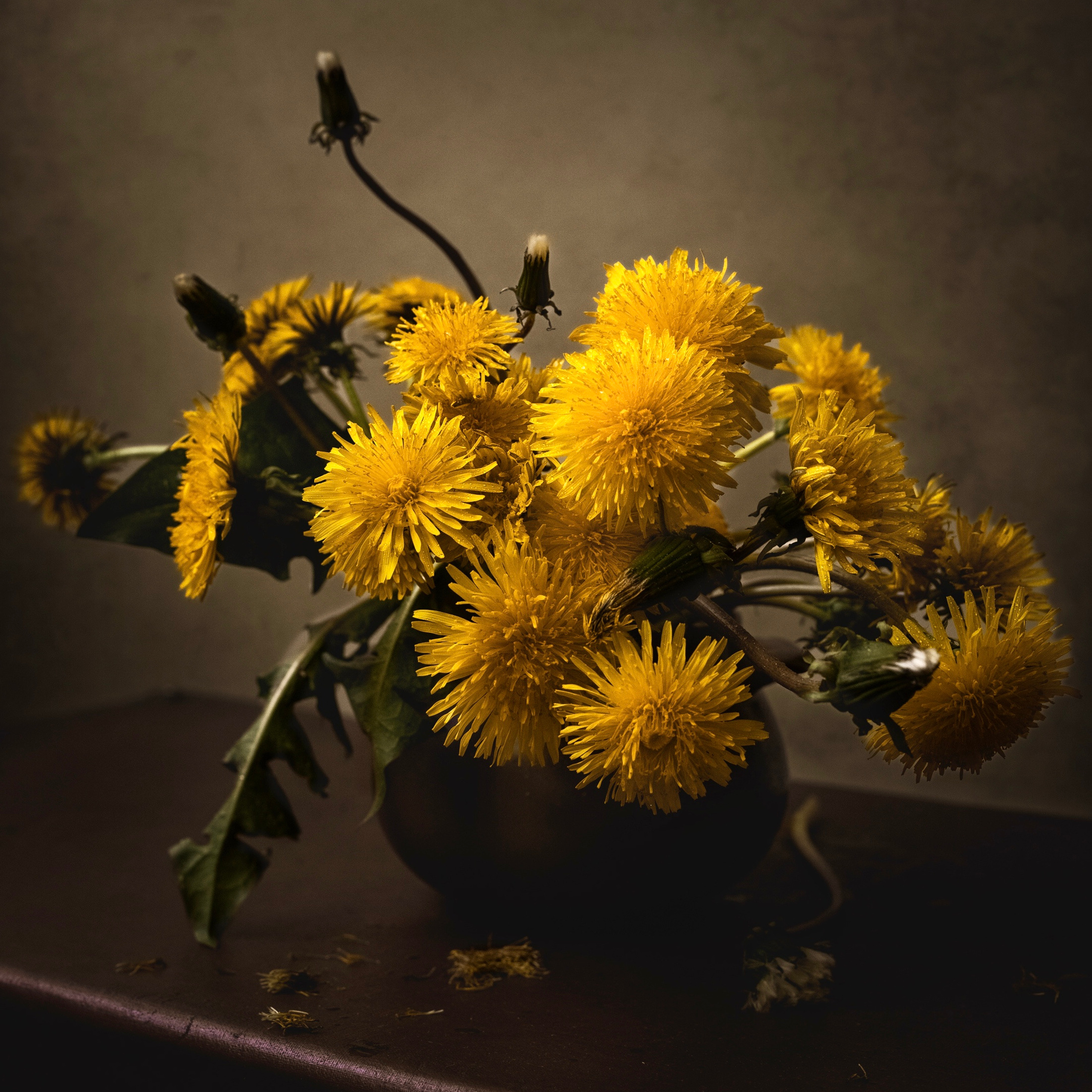 Натюрморты