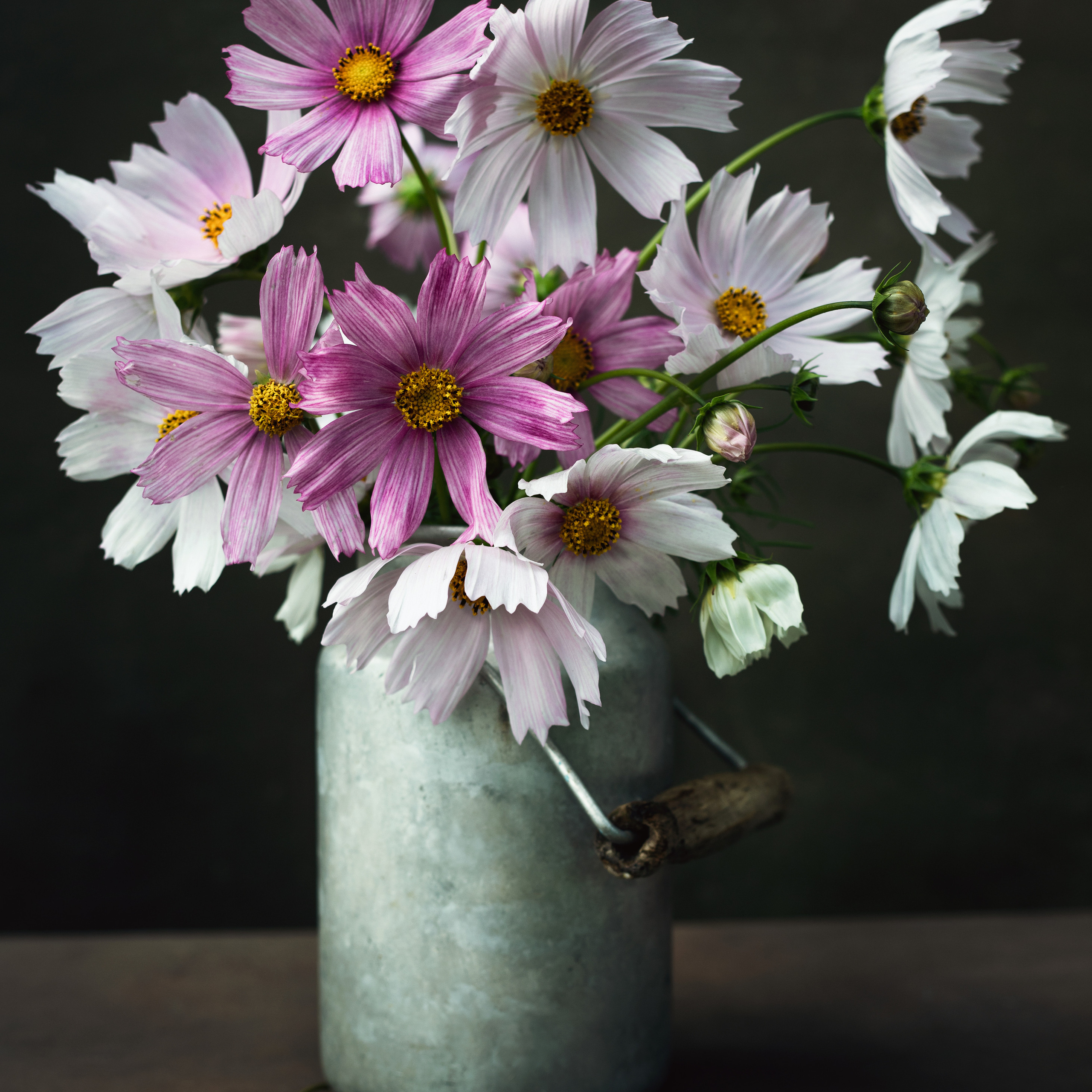 Натюрморты