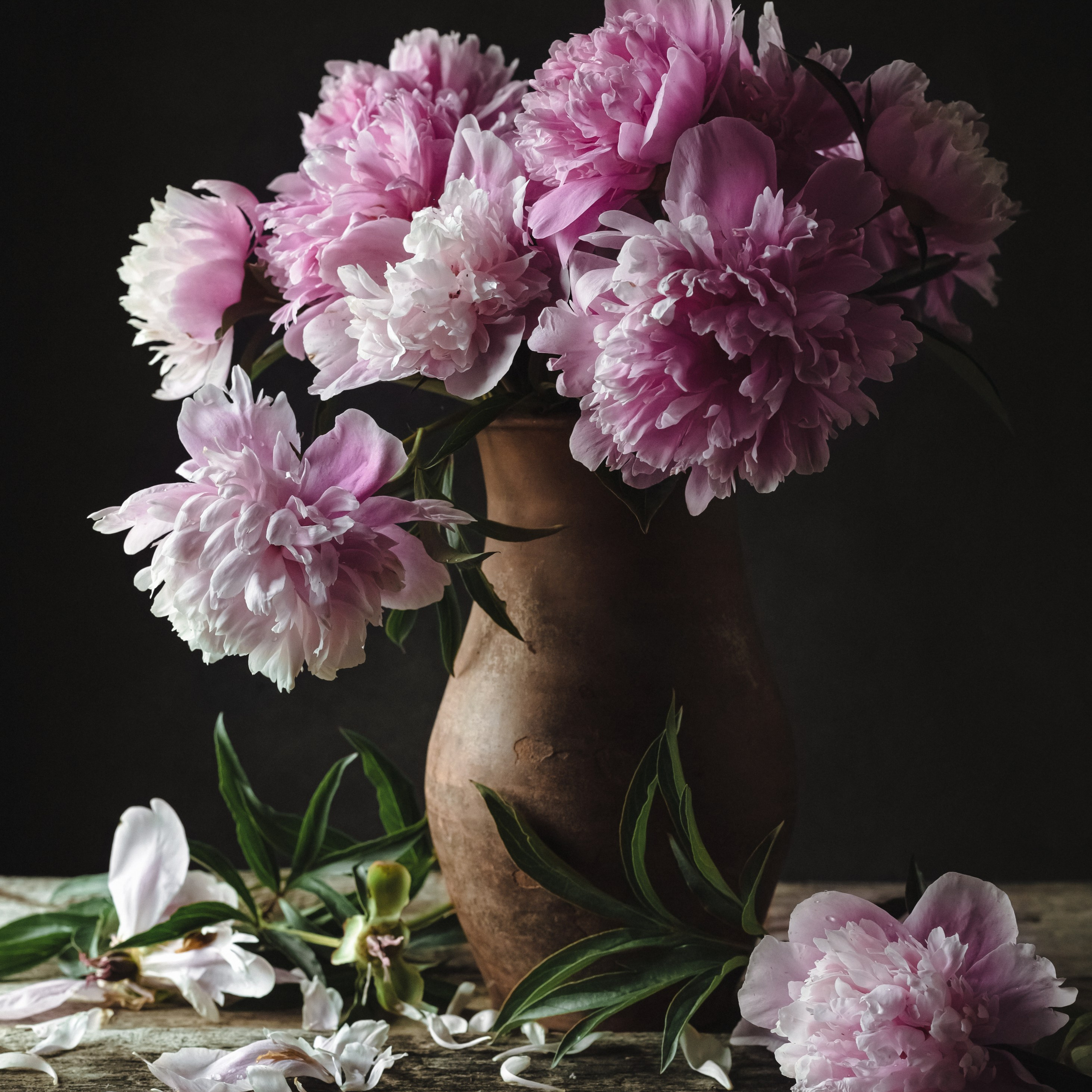 Натюрморты