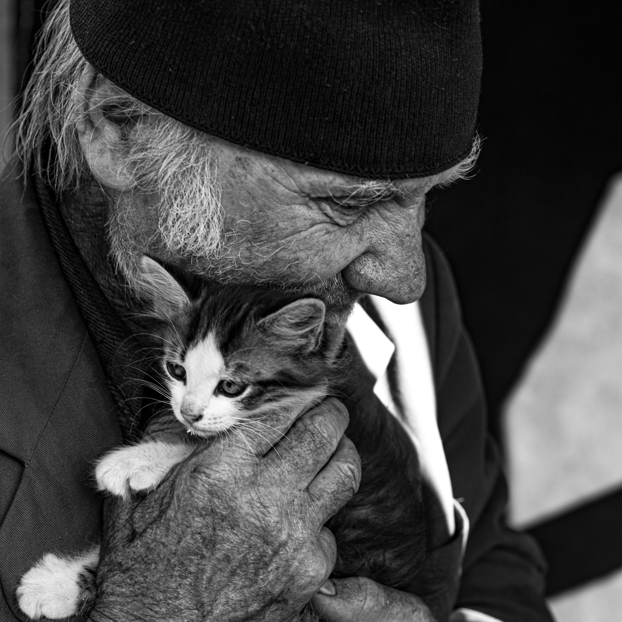 «Если бы мы могли поговорить»