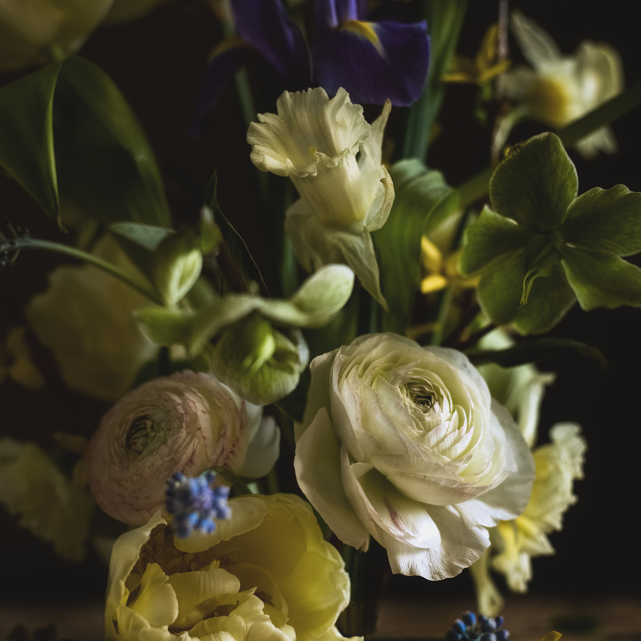 Натюрморты