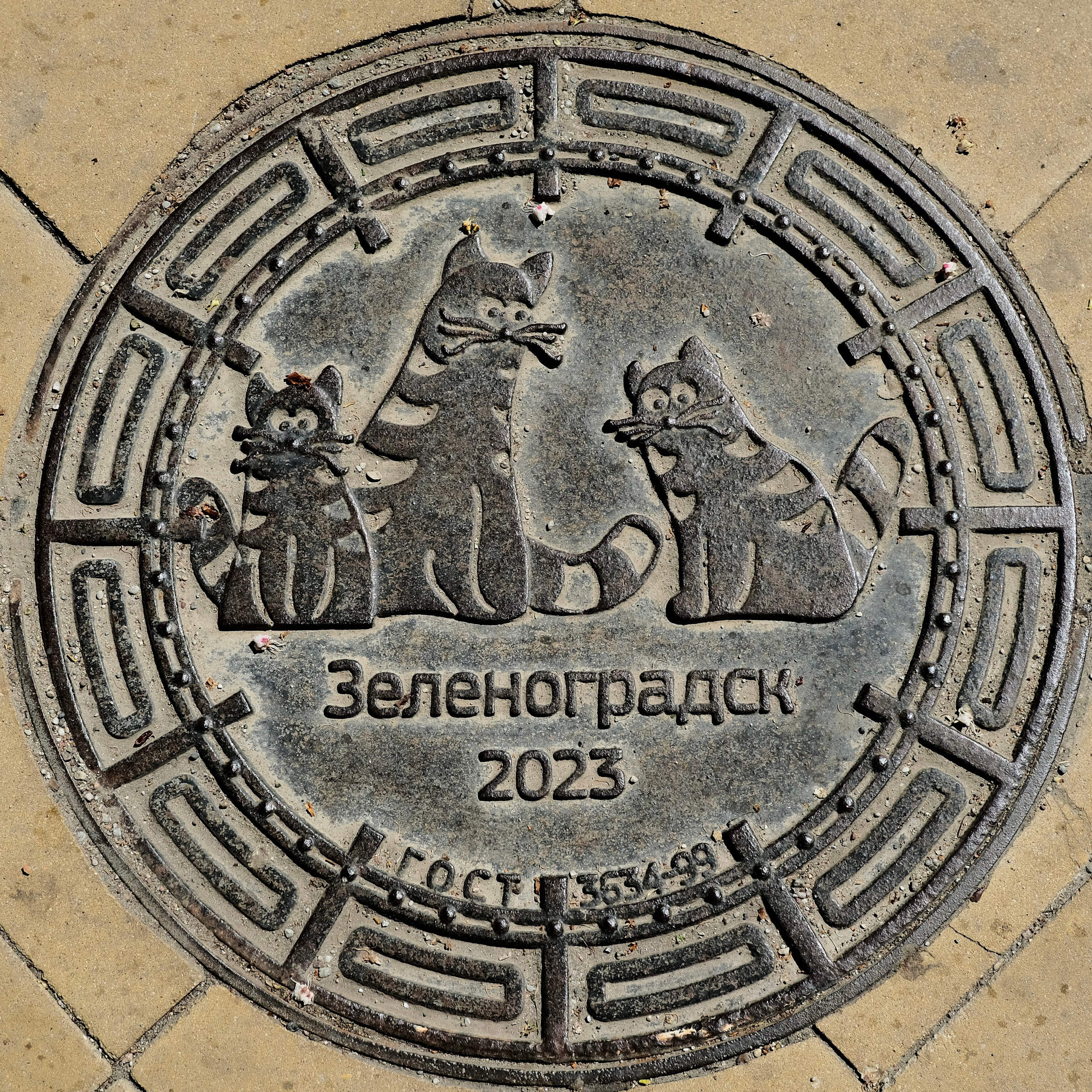 Красота этого мира. Фотограф ваших моментов