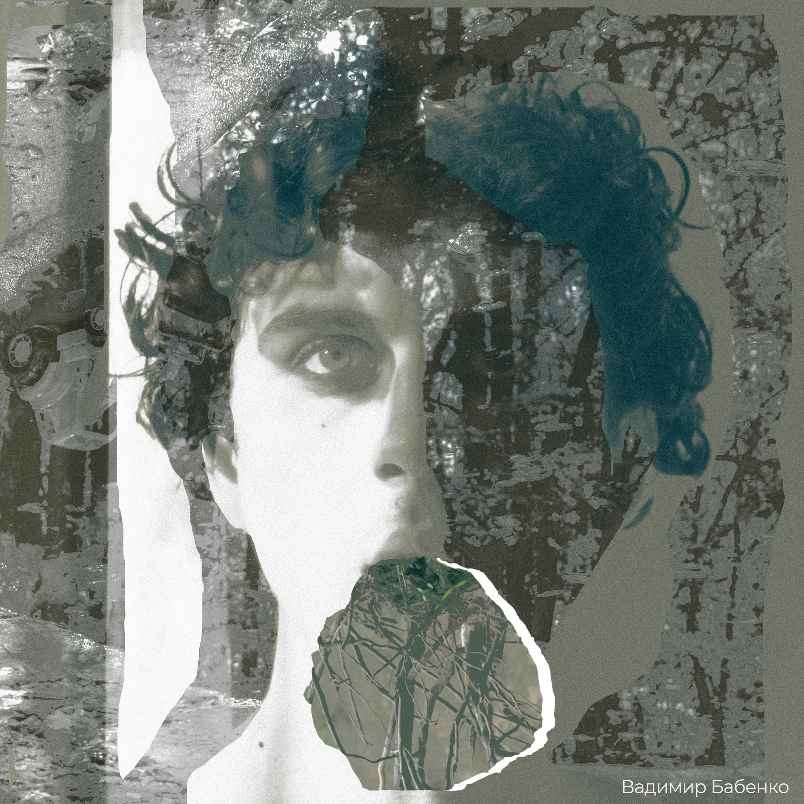 Трансформация. «ФотоСинтез»