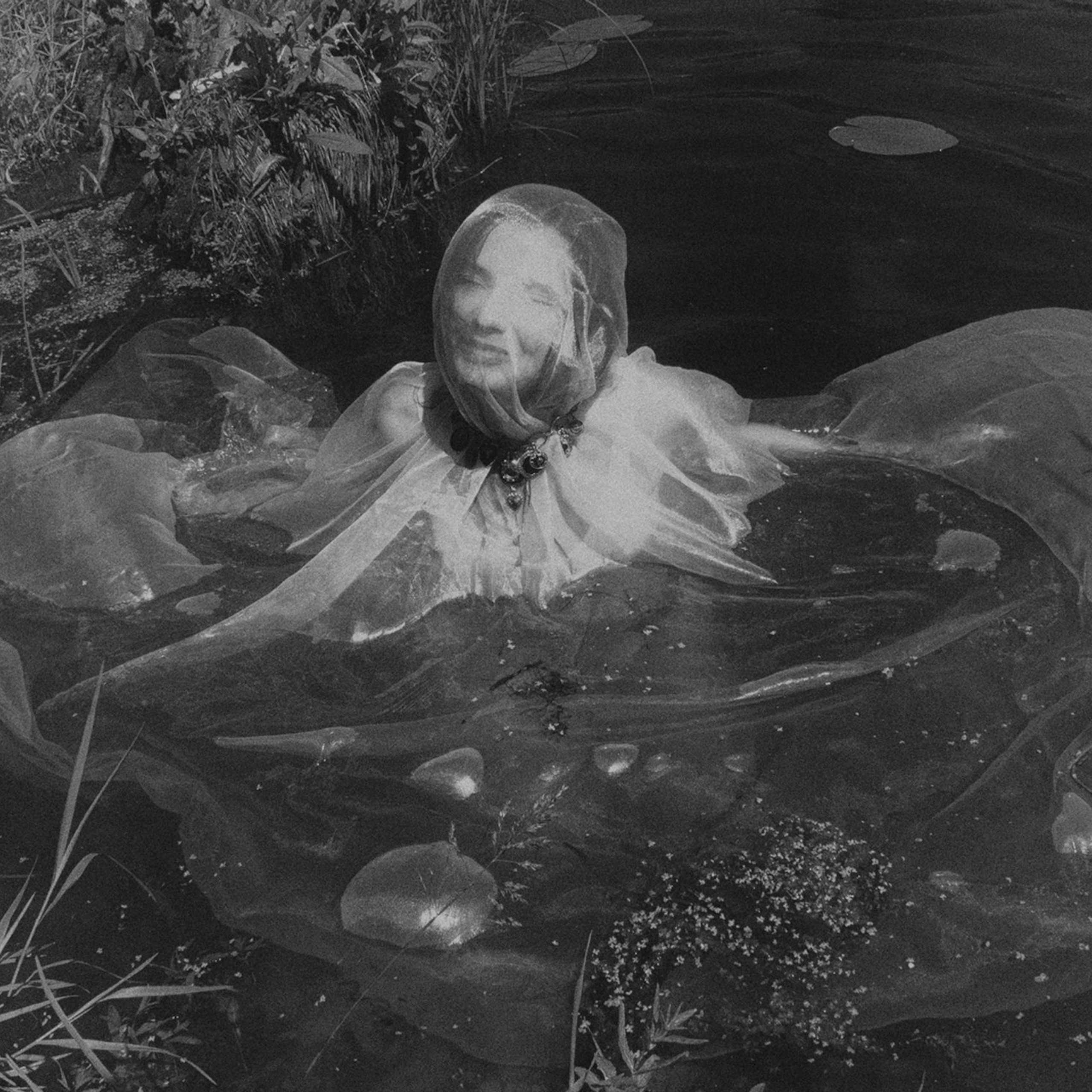 Трансформация. «ФотоСинтез»