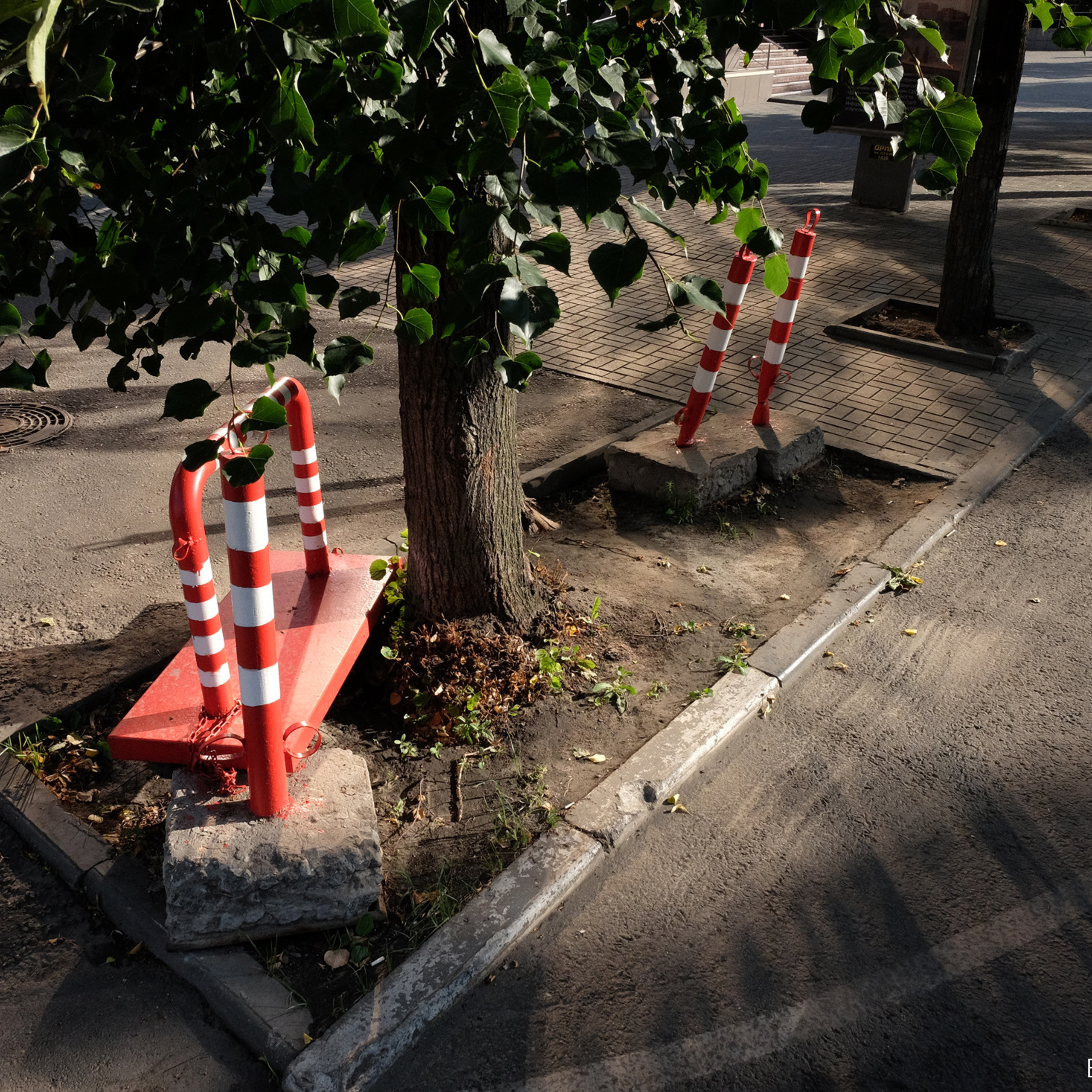 Трансформация. «ФотоСинтез»