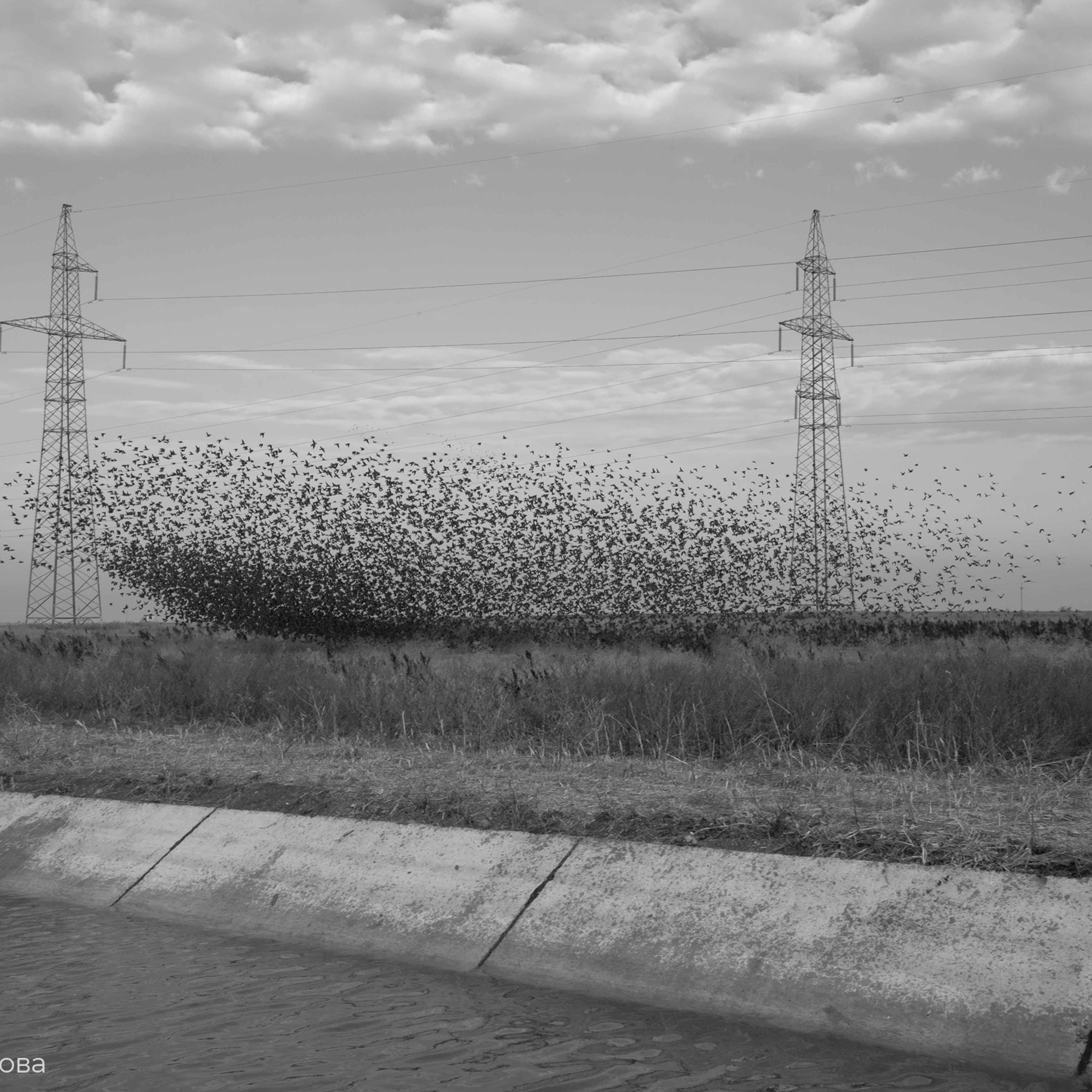 Трансформация. «ФотоСинтез»