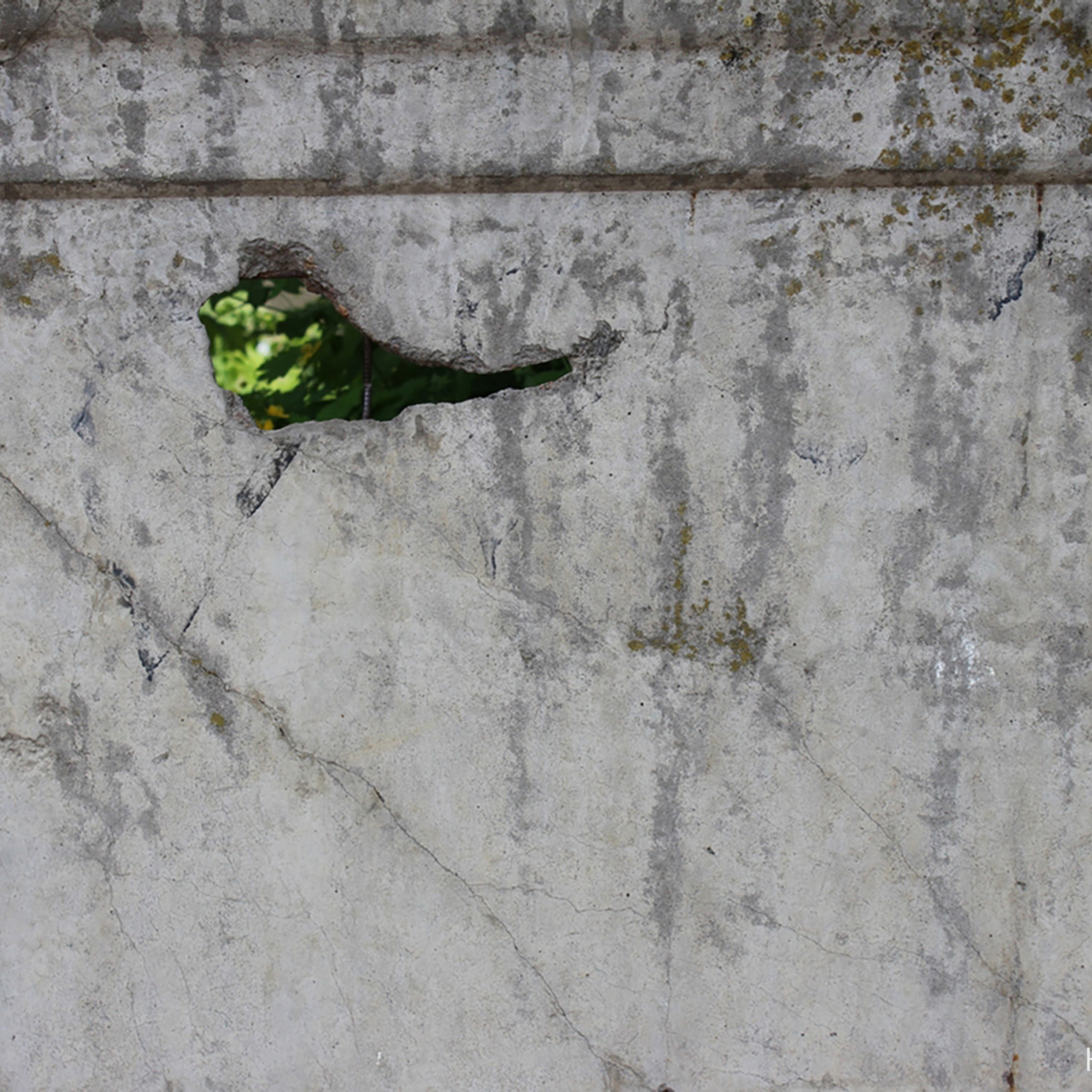 Трансформация. «ФотоСинтез»