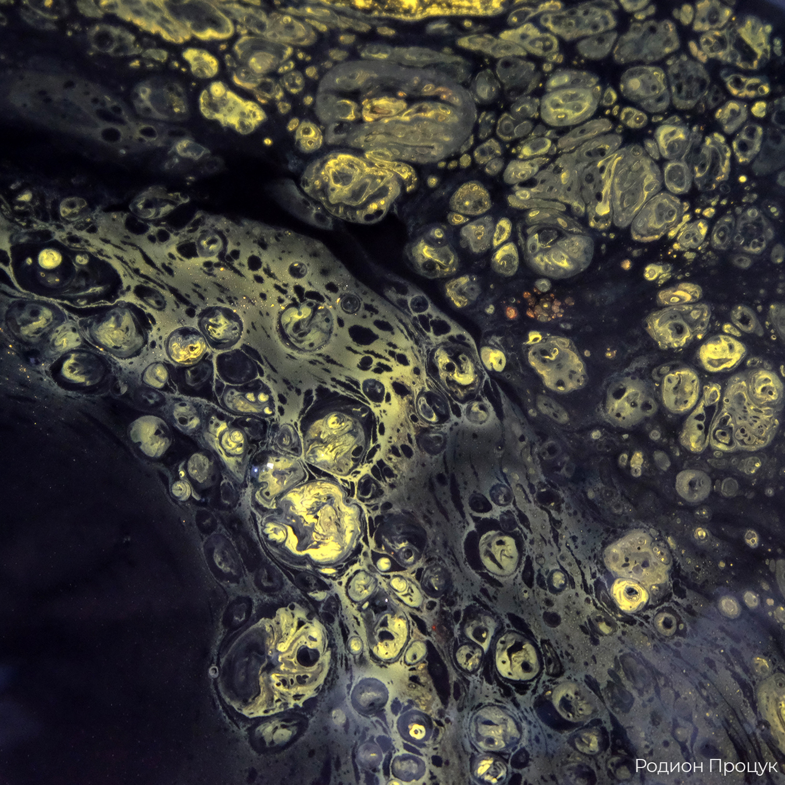 Трансформация. «ФотоСинтез»