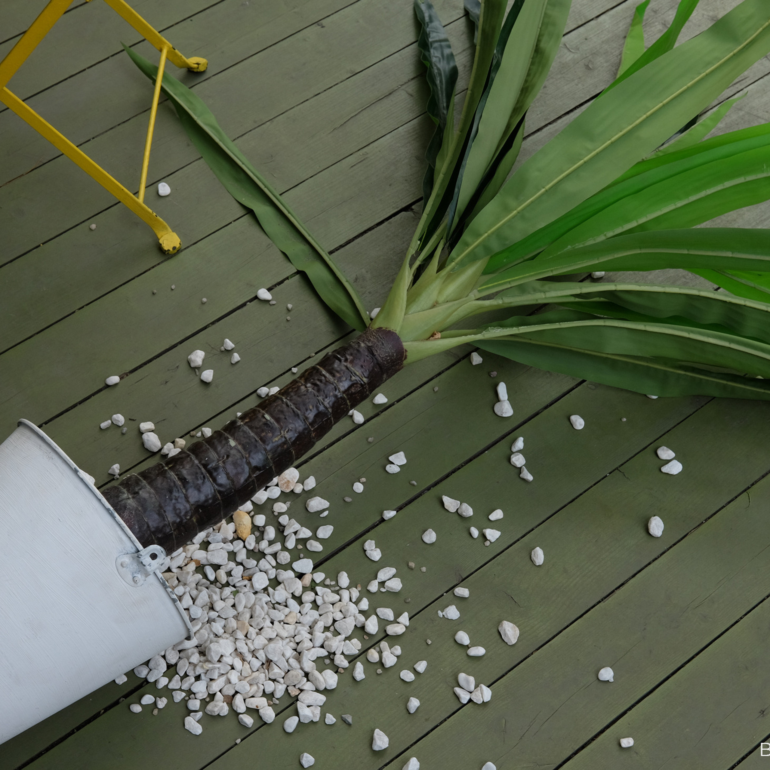 Трансформация. «ФотоСинтез»