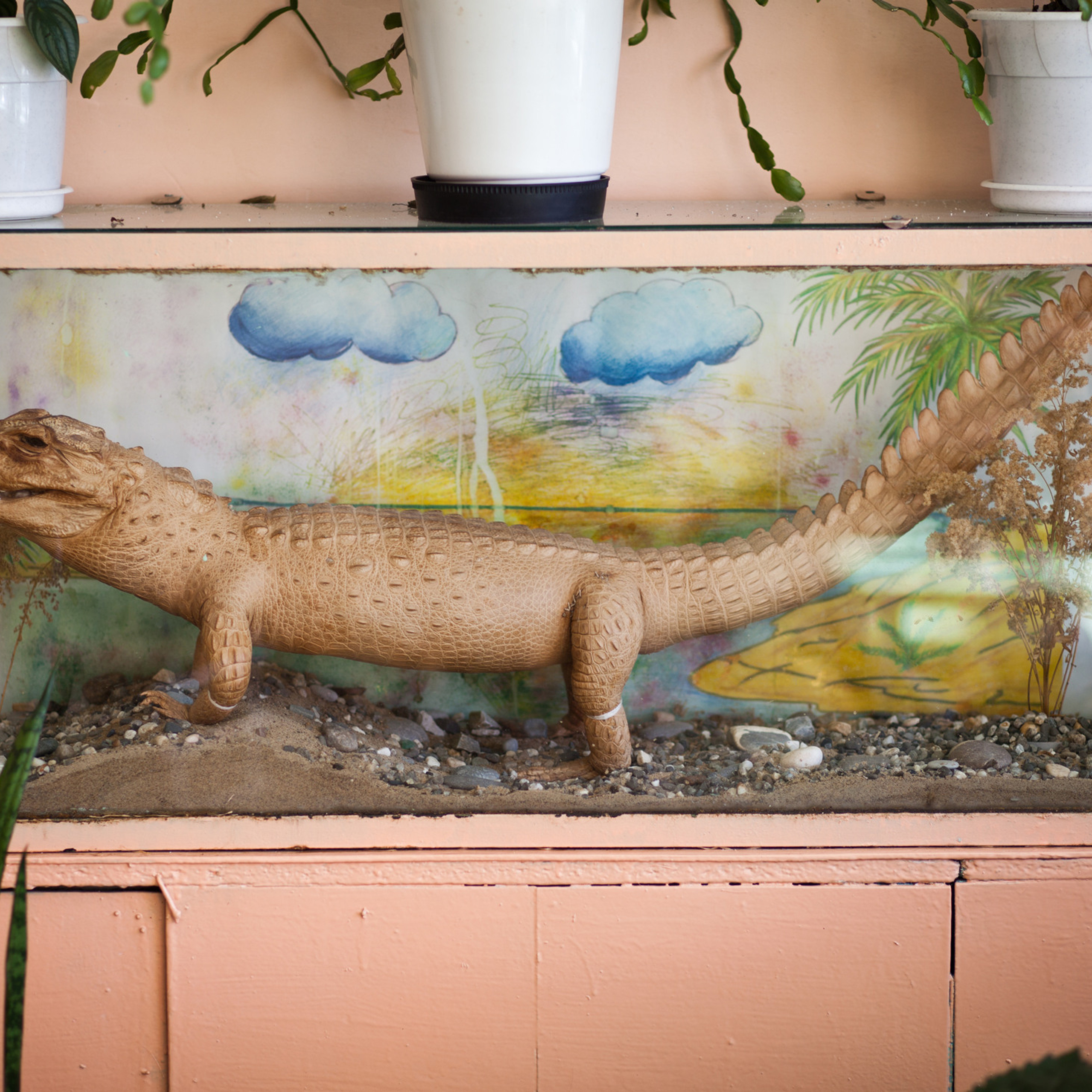 Трансформация. «ФотоСинтез»