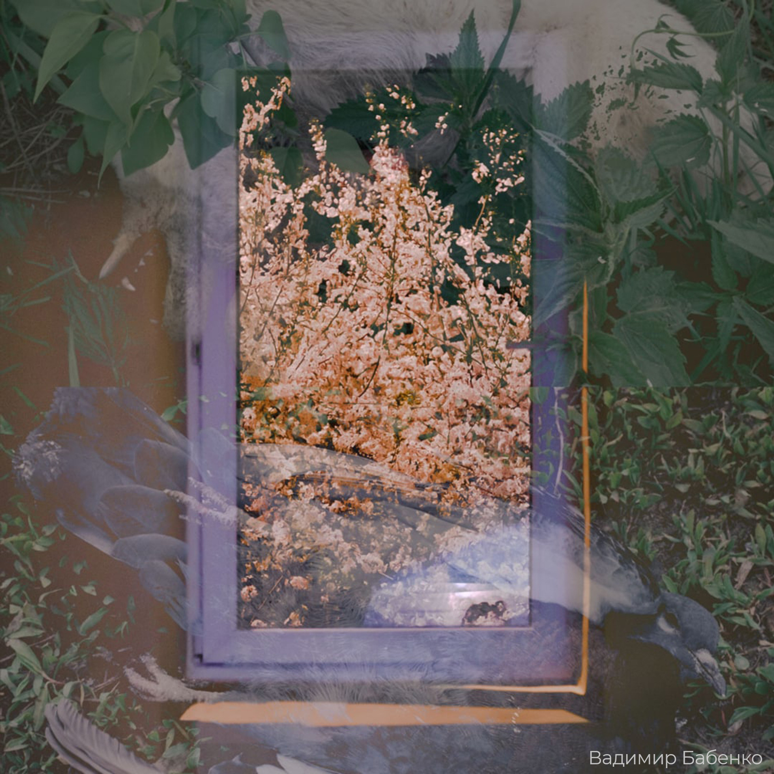 Трансформация. «ФотоСинтез»