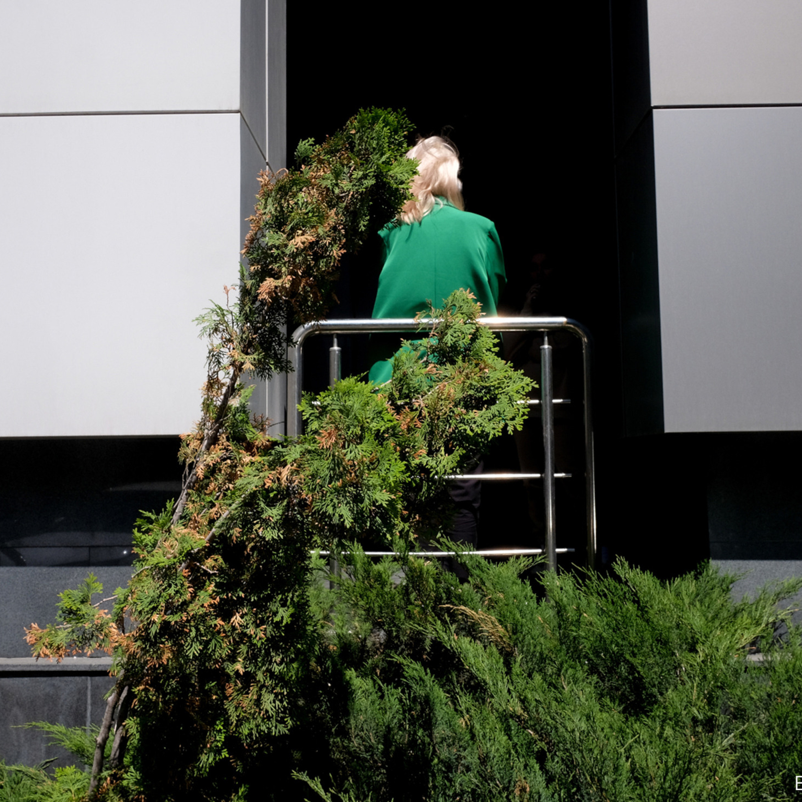 Трансформация. «ФотоСинтез»