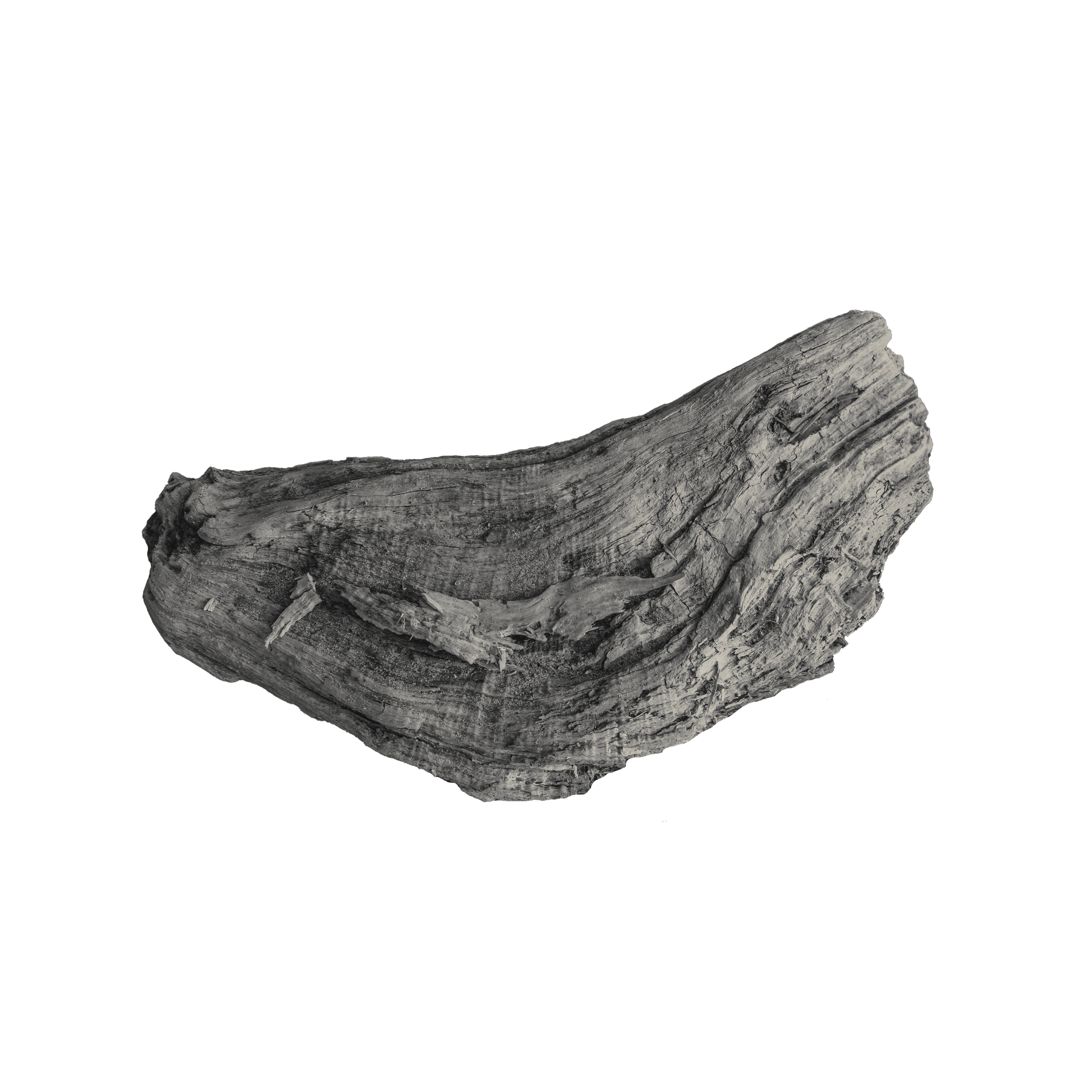 Текстуры вселенной /2019-2025