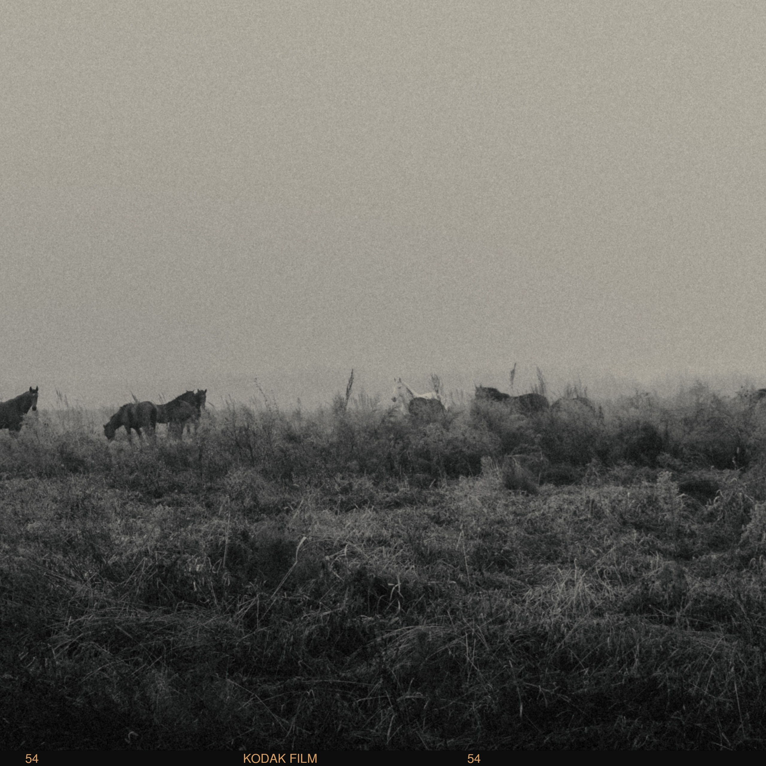 Арсеньев / 2019 по н.в