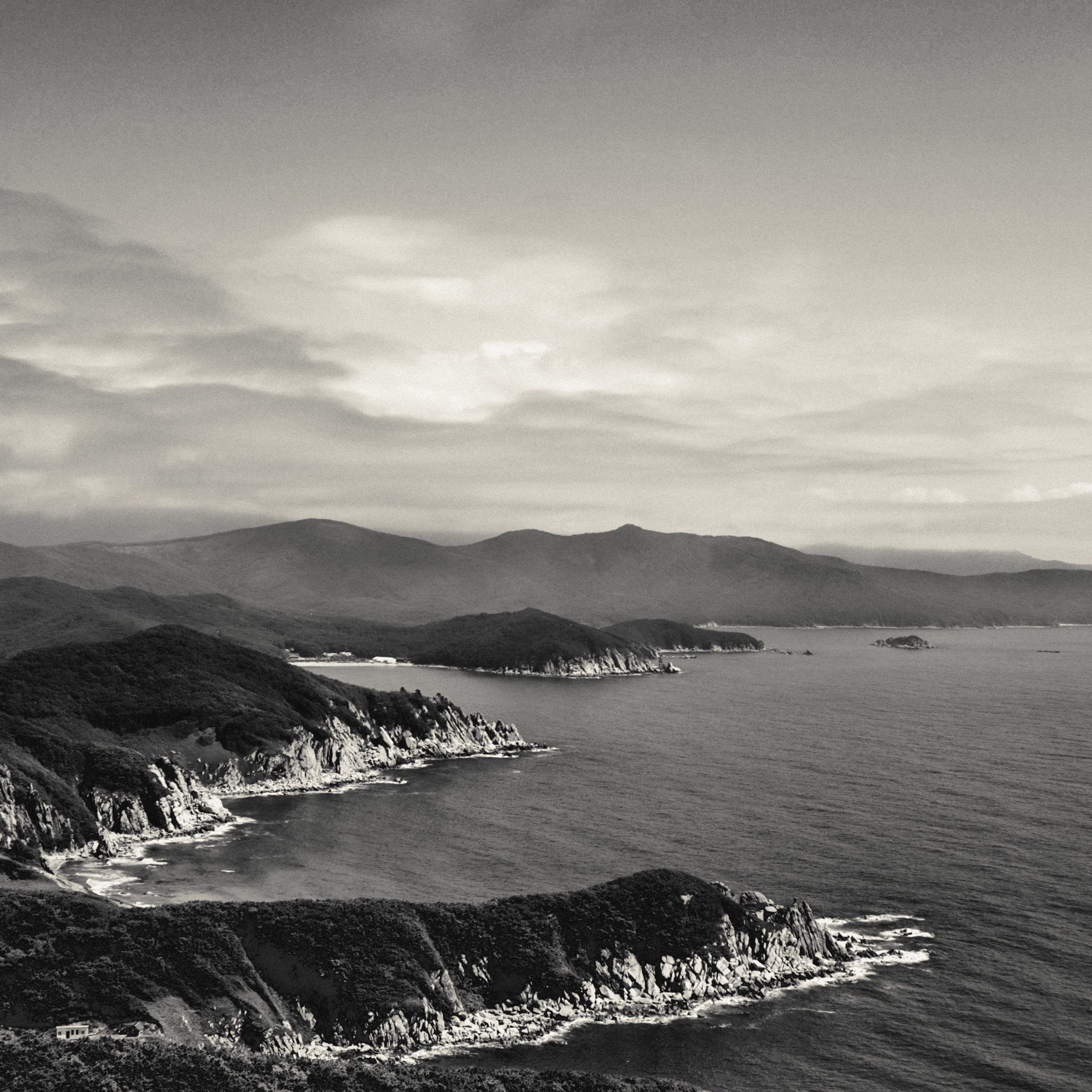 Свидетели вечности /2018 — 2025