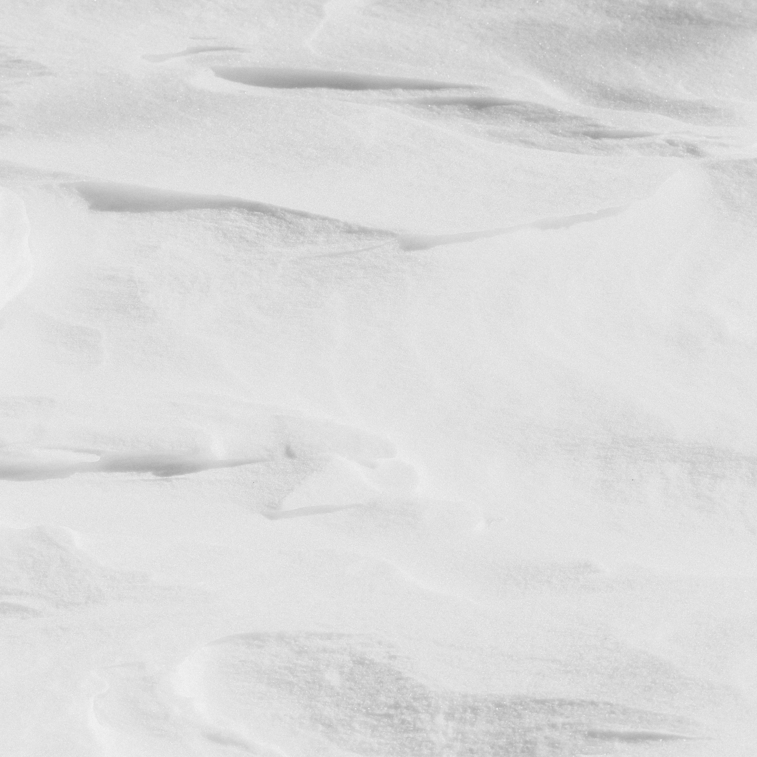 Белая земля /2024-2025