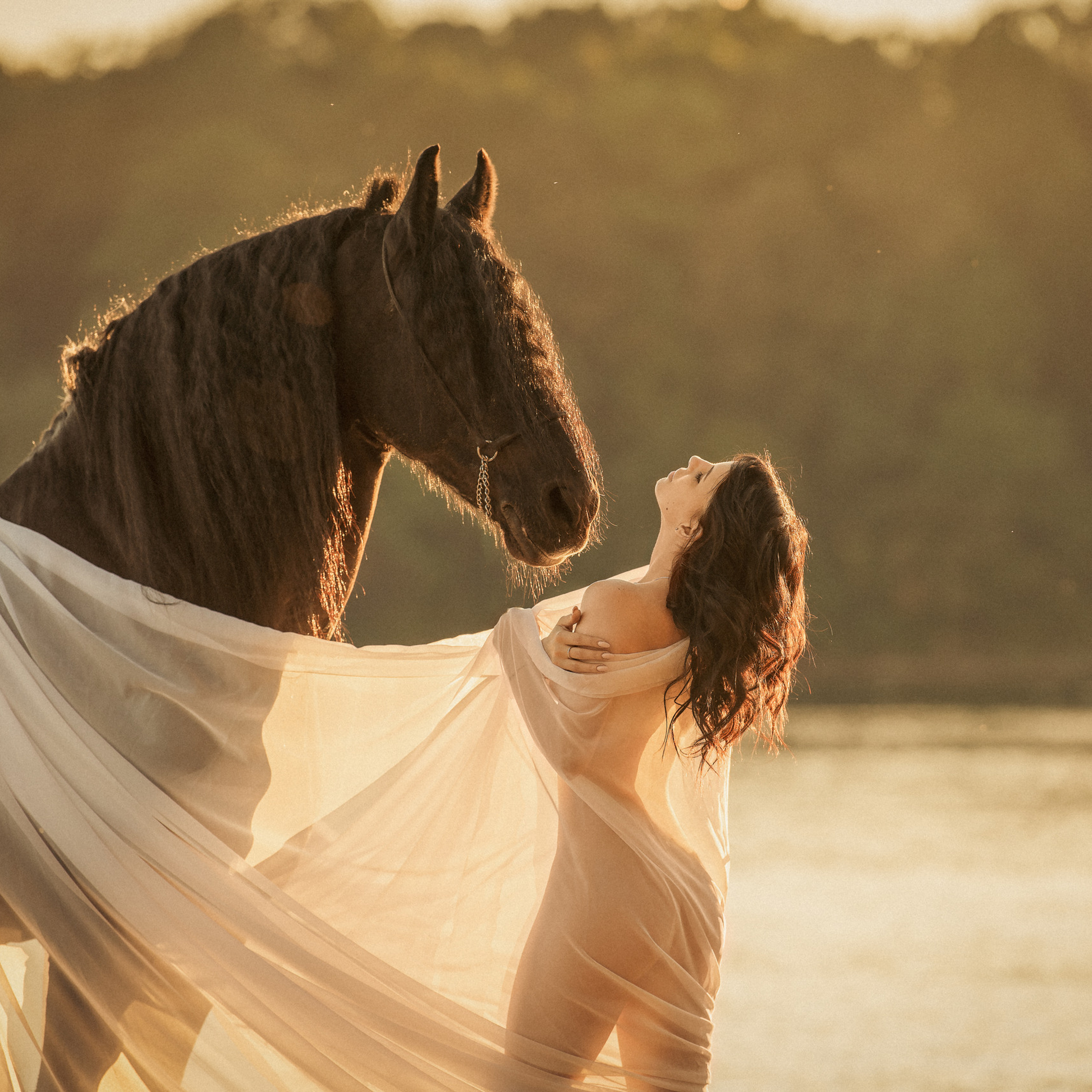 Отзывы. Конный фотограф в Москве — Дарья Алексеева | Премиальные фотосессии с лошадьми