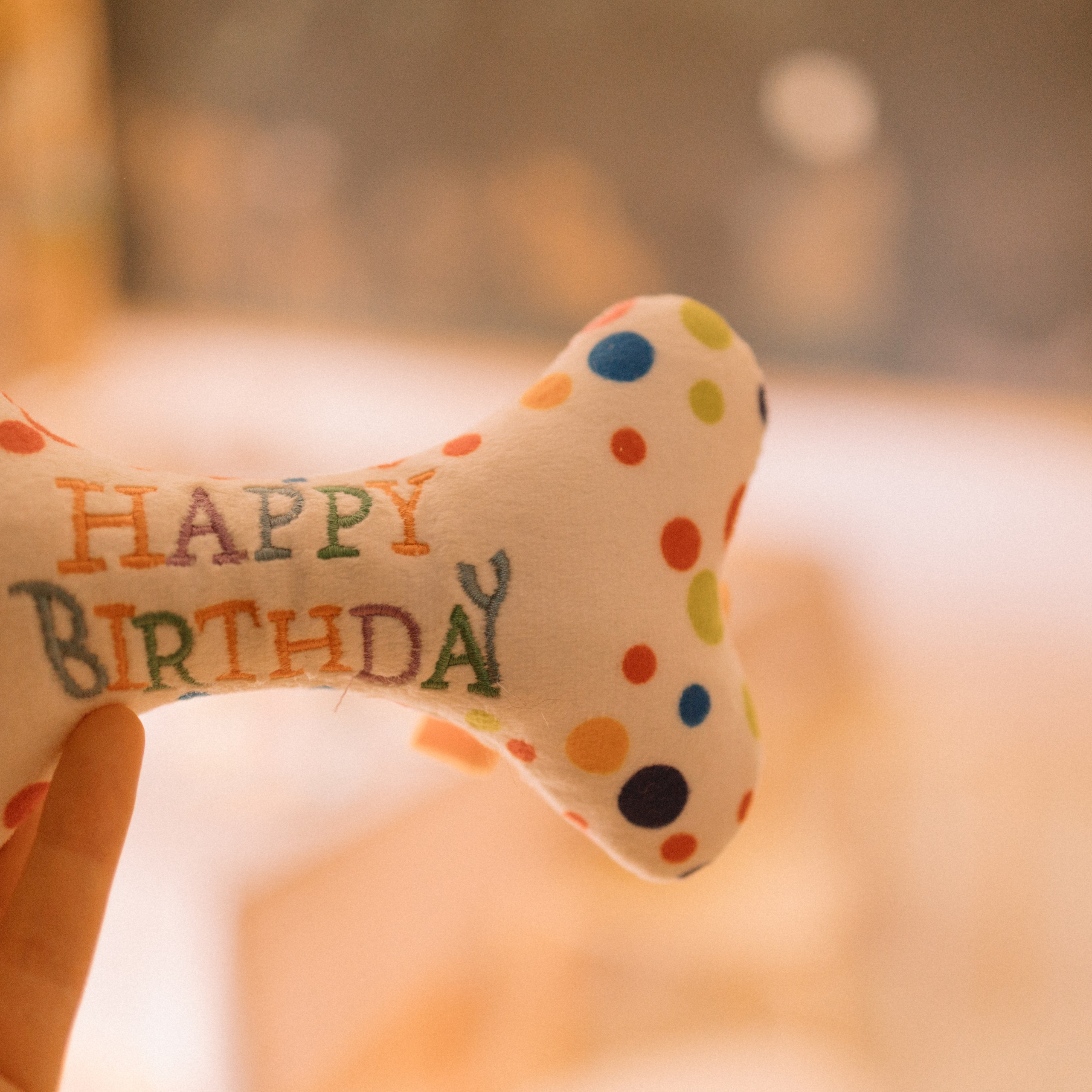 День рождения Вероники 🎂 Репортаж. Ладо Ольга. Семейный фотограф в Москве