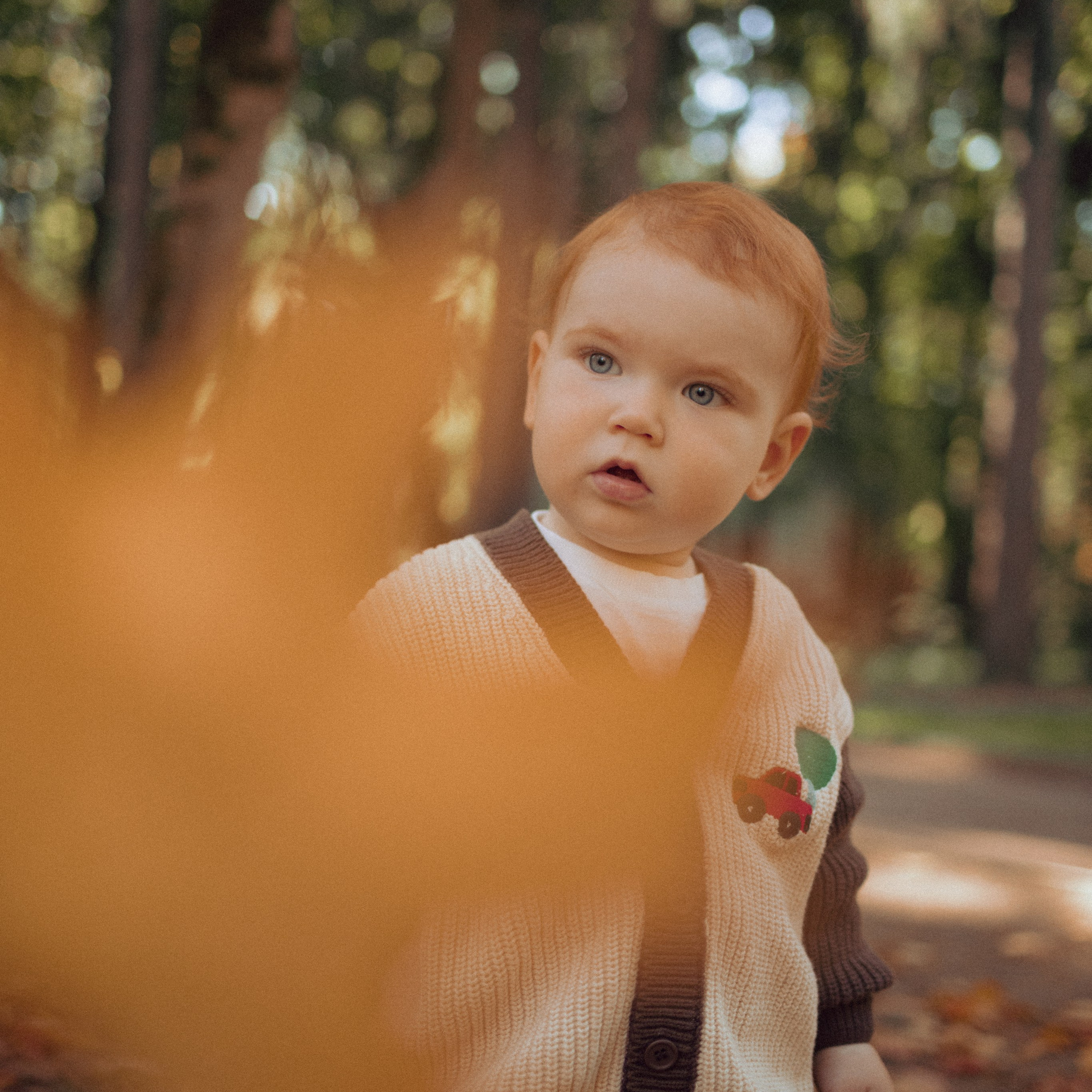 Осенняя прогулка в Переделкино 🍂. Ладо Ольга. Семейный фотограф в Москве