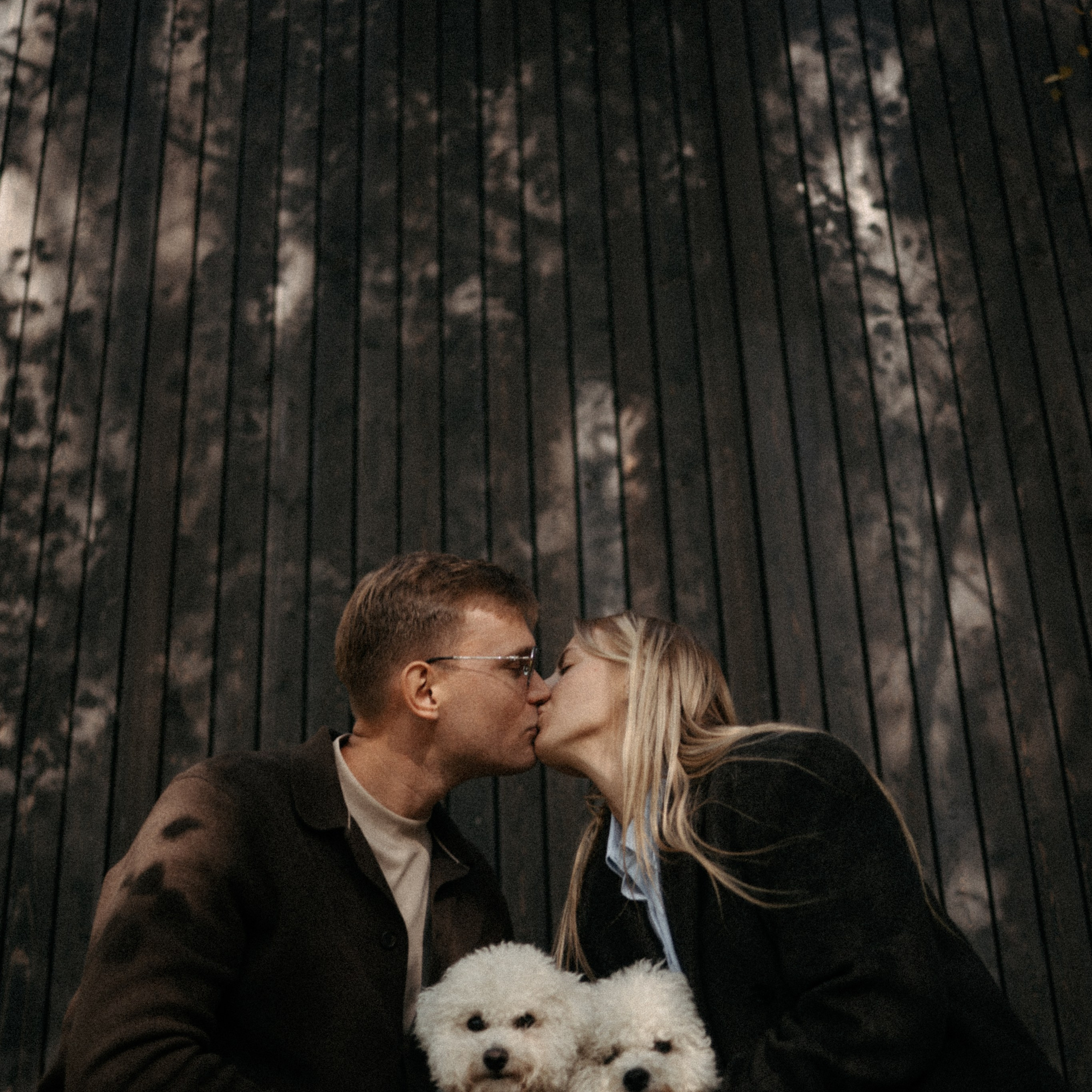 Вот такая любовь, собачки 🐶🤍. Ладо Ольга. Семейный фотограф в Москве