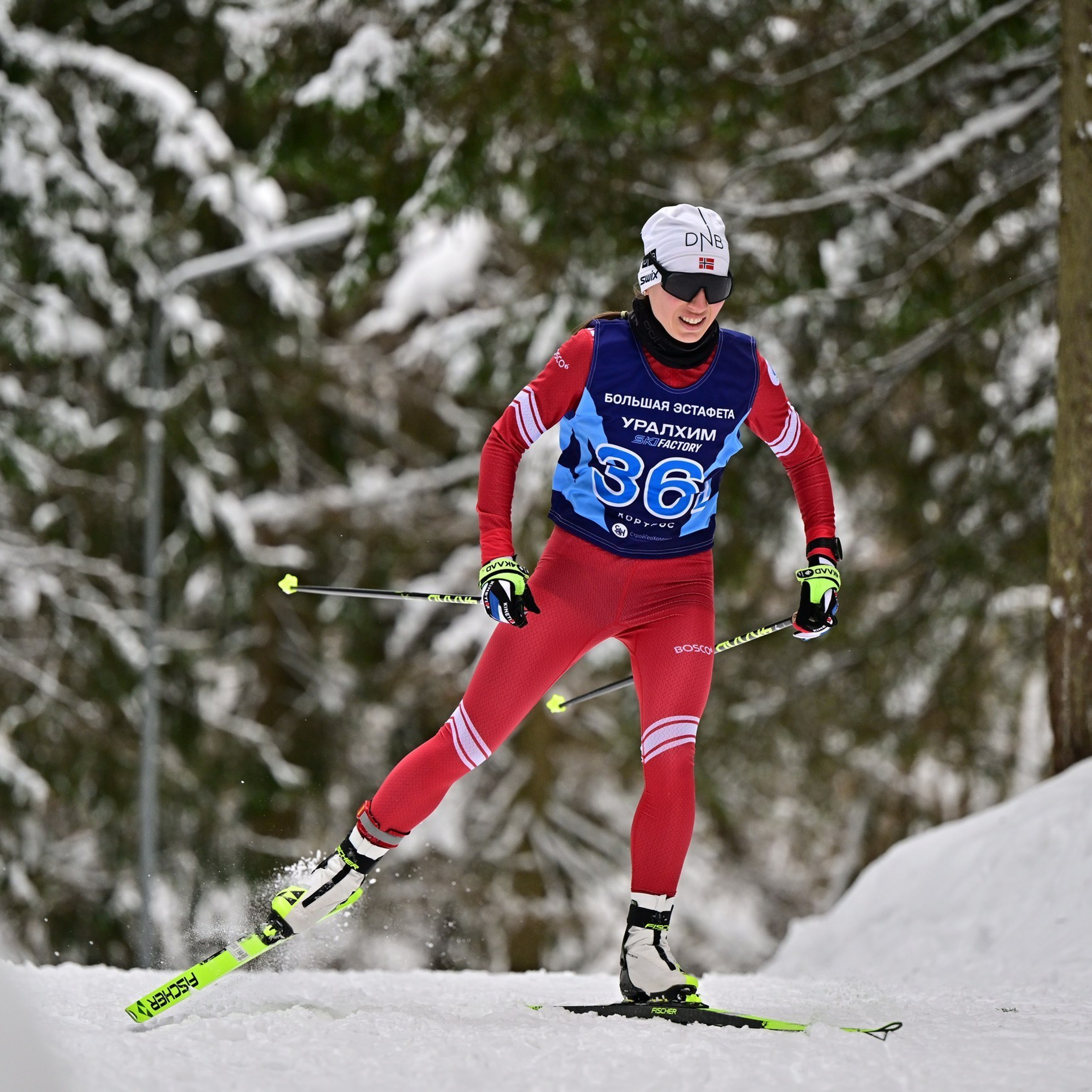 Comentarios. Fotógrafos Daria y Dmitry Arsentyevs
