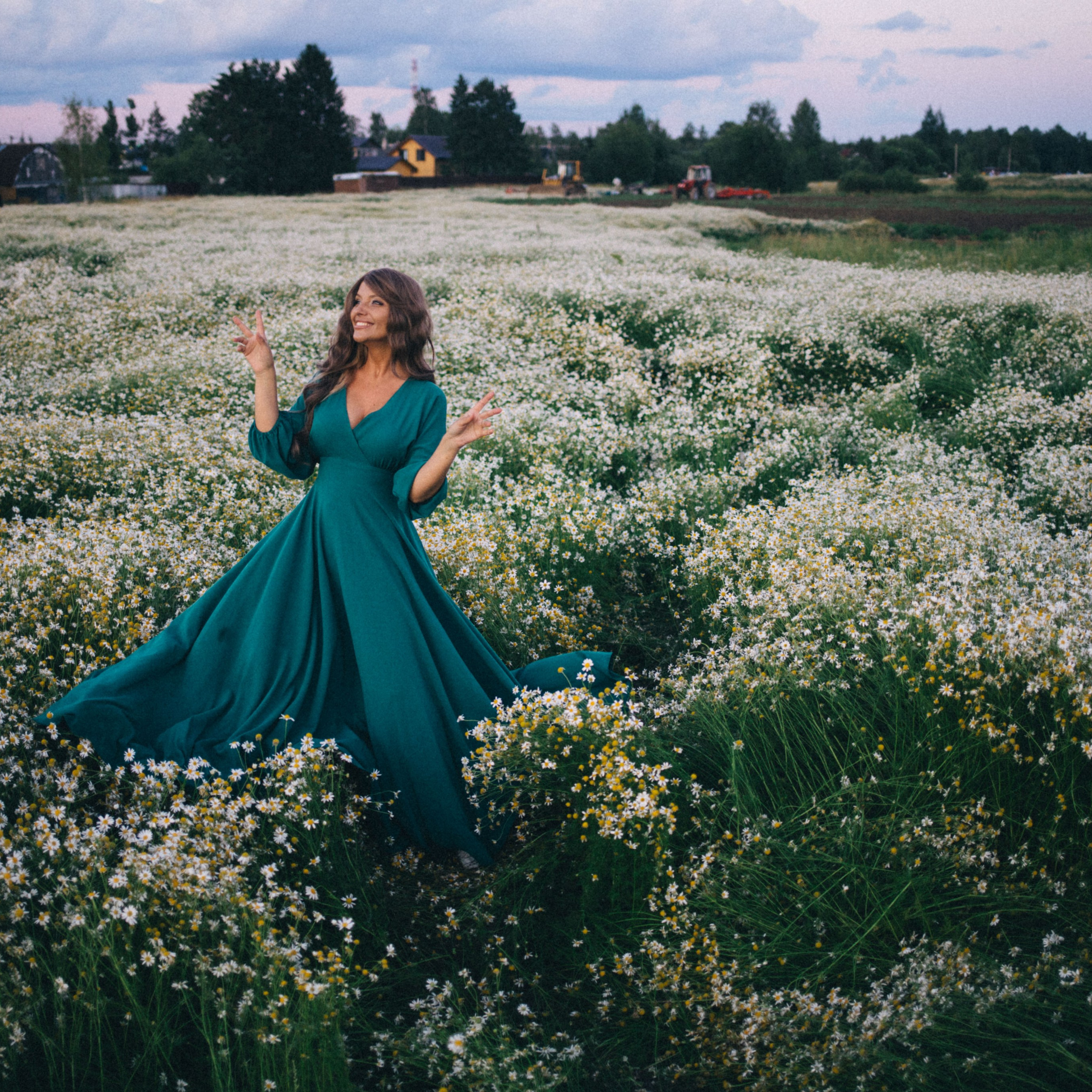 Chamomile fields 2024