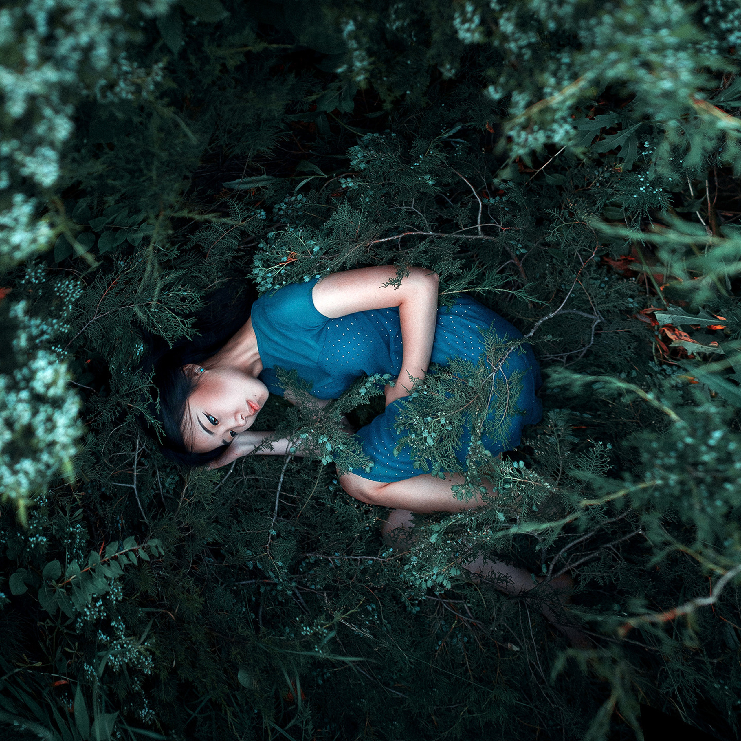 Арт. Максим Густарев — фотограф