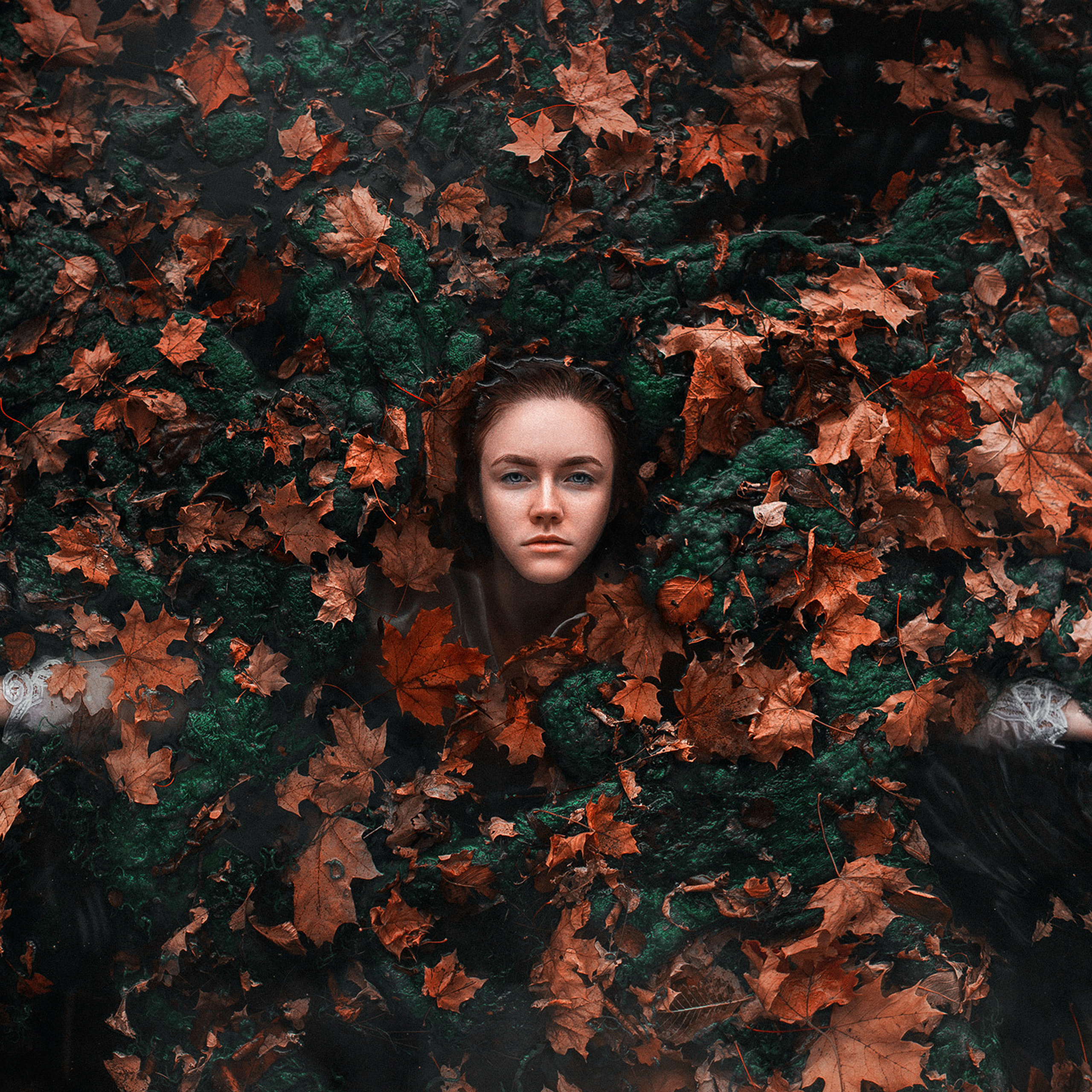 Арт. Максим Густарев — фотограф