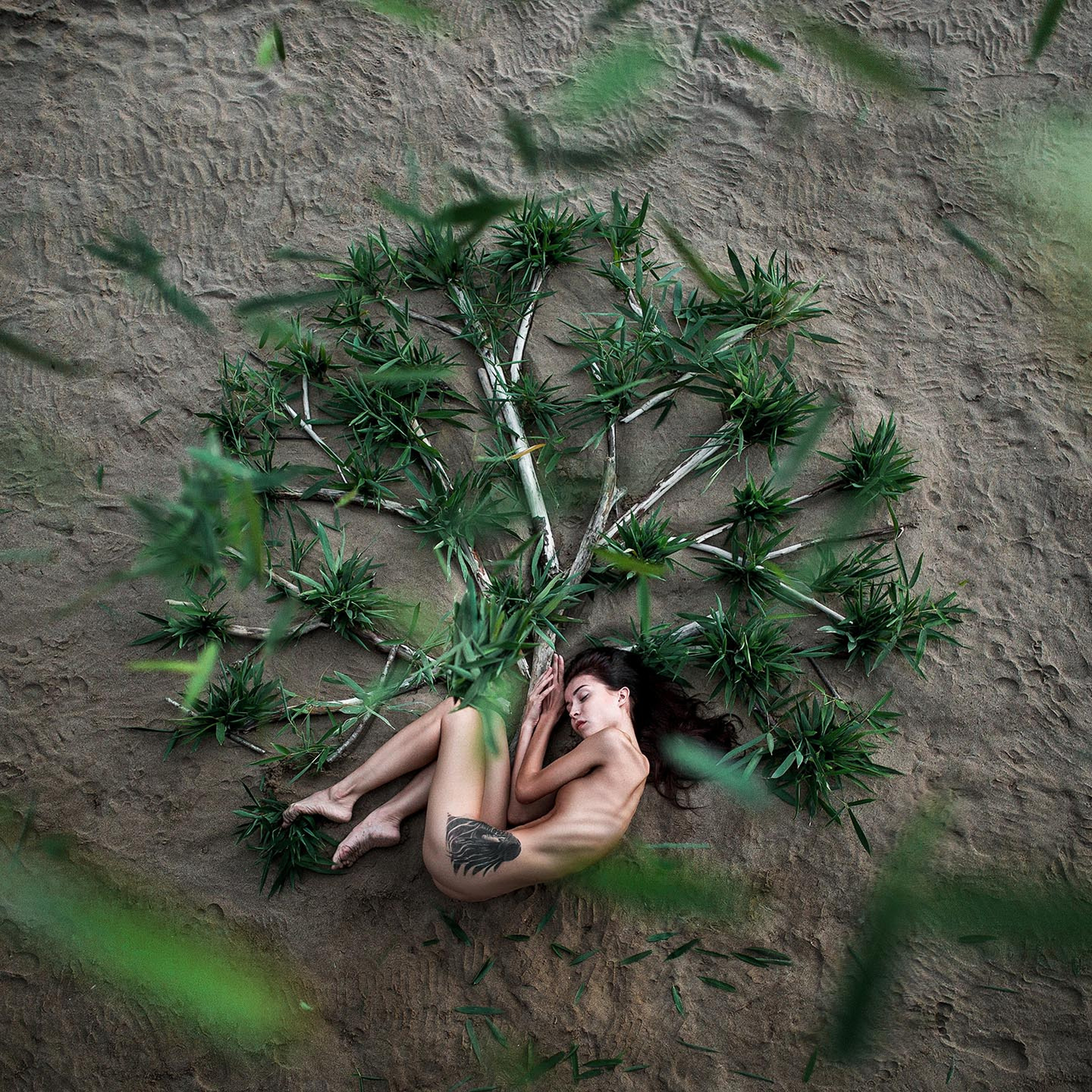 Арт. Максим Густарев — фотограф
