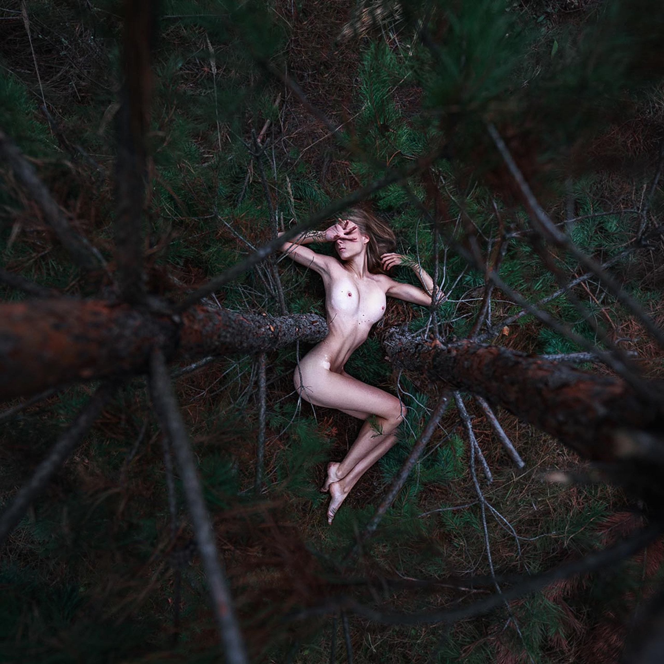 Арт. Максим Густарев — фотограф